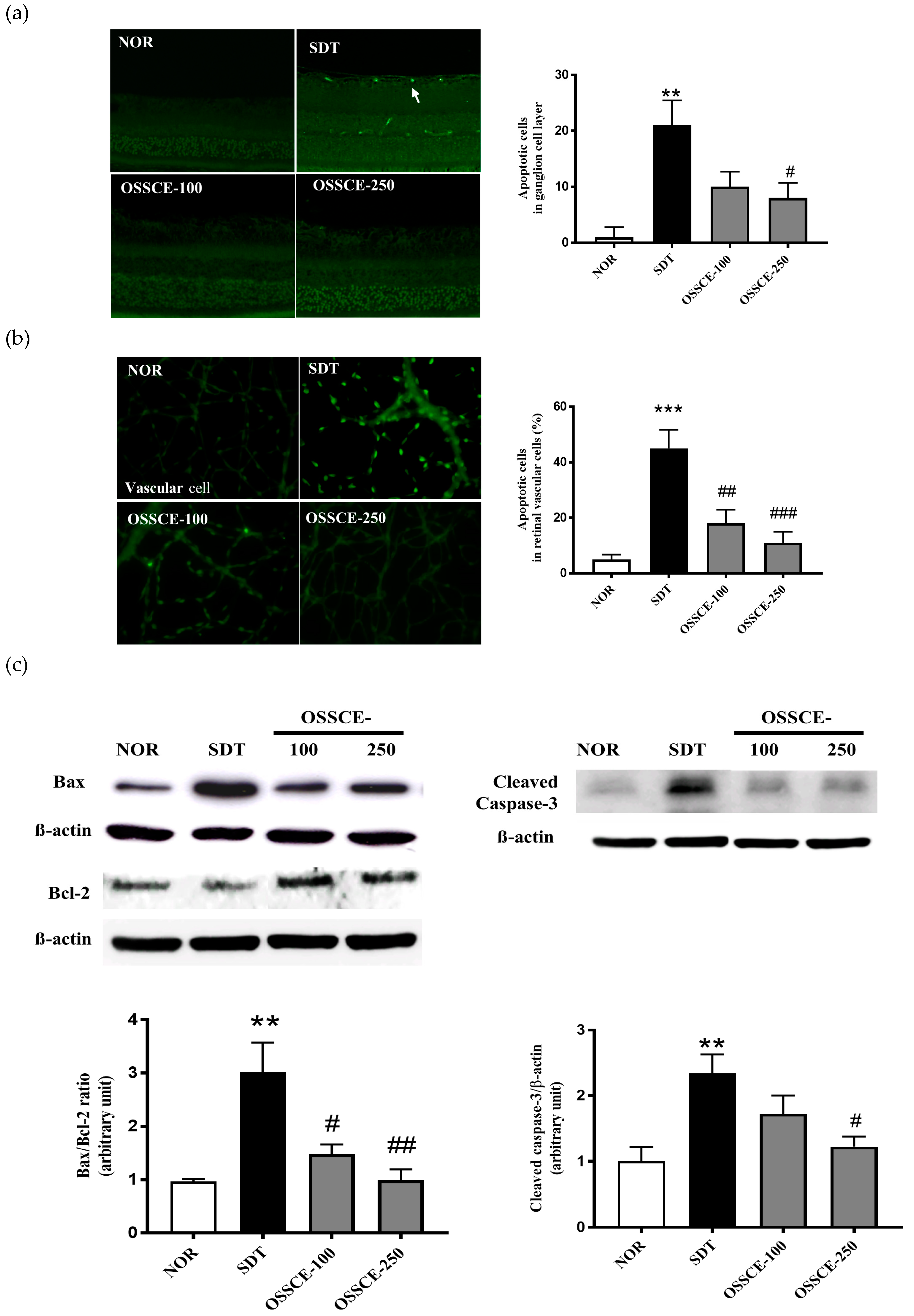 Nutrients 11 00546 g003a Nutrients 11 00546 g003a