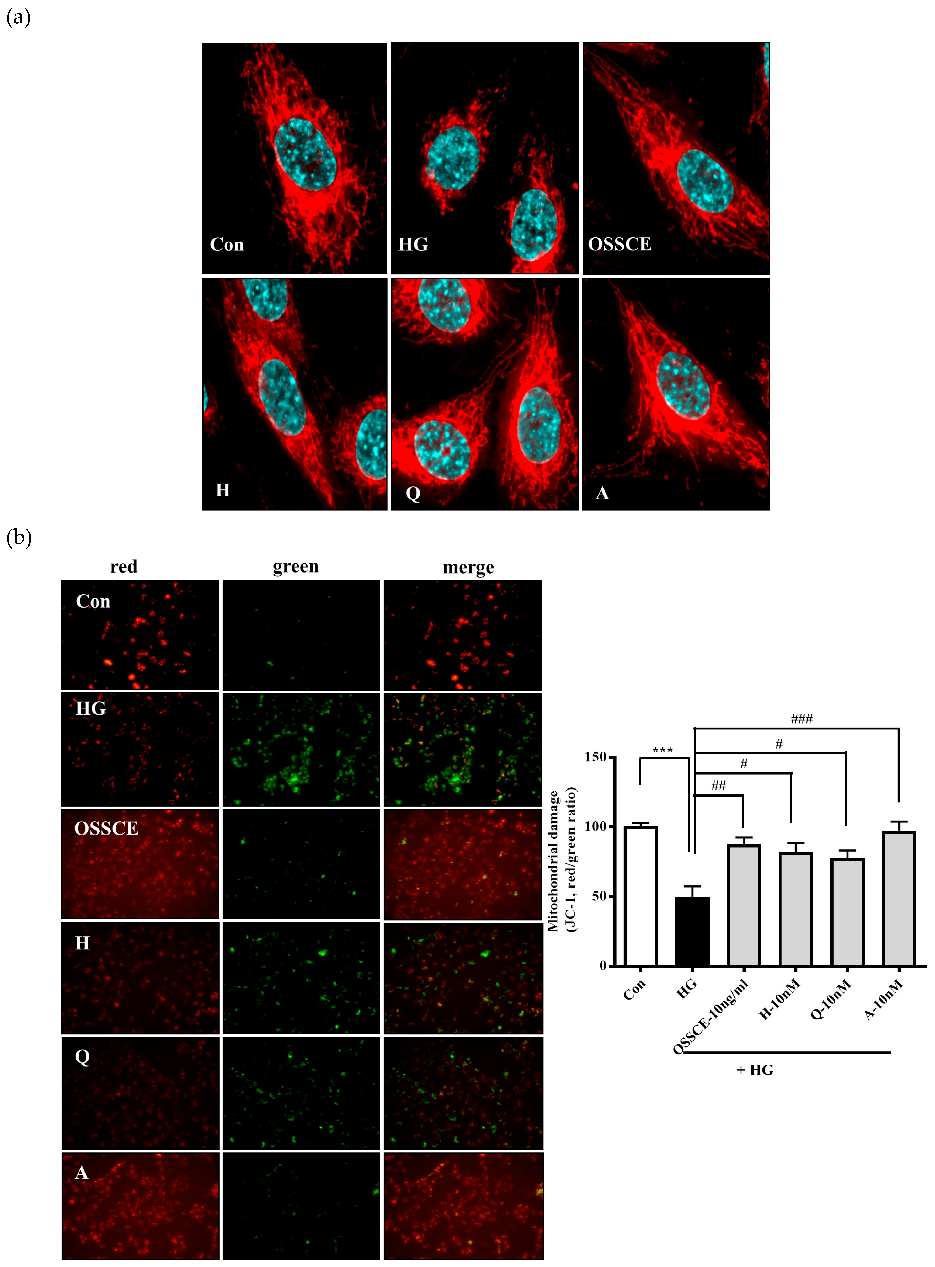 Nutrients 11 00546 g004 Nutrients 11 00546 g004