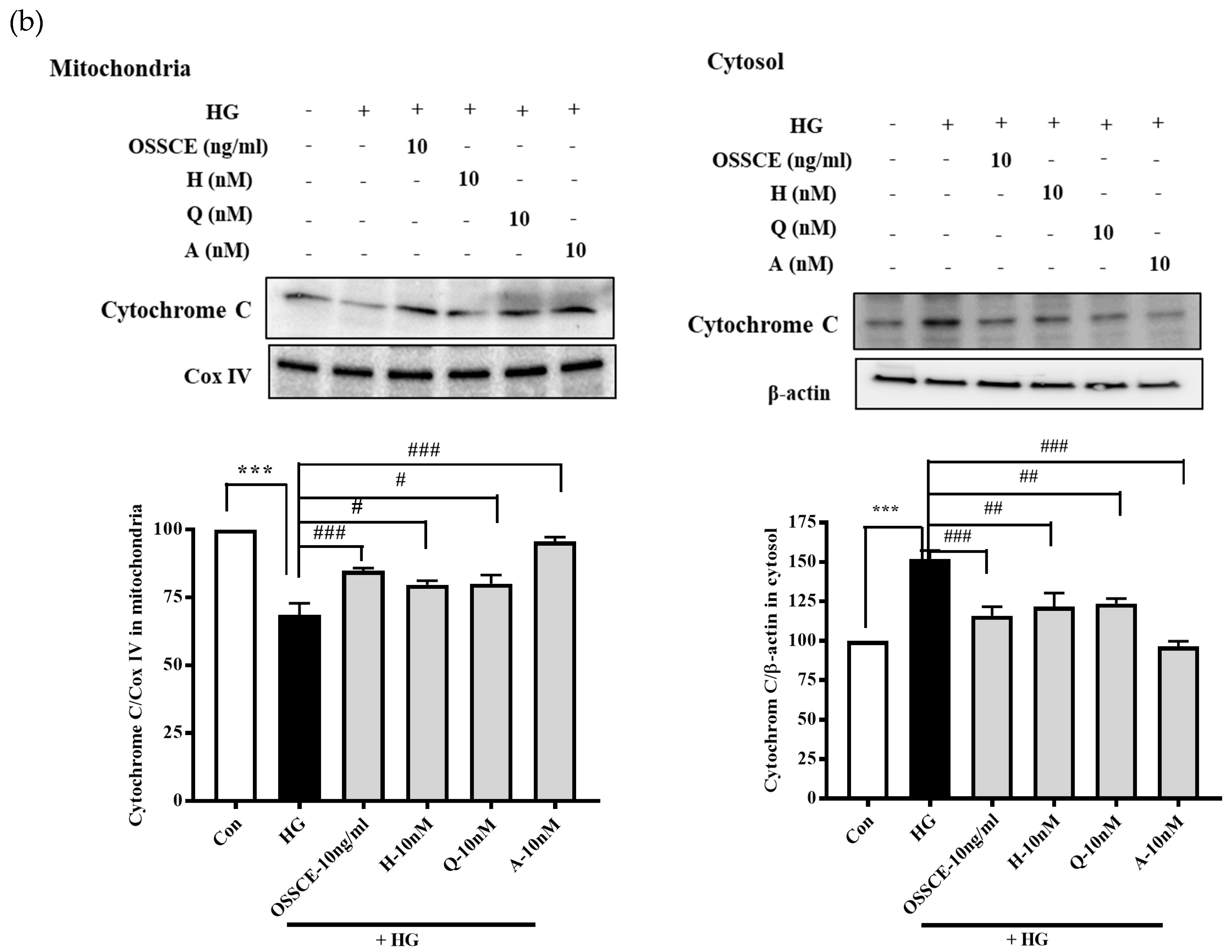 Nutrients 11 00546 g005b Nutrients 11 00546 g005b