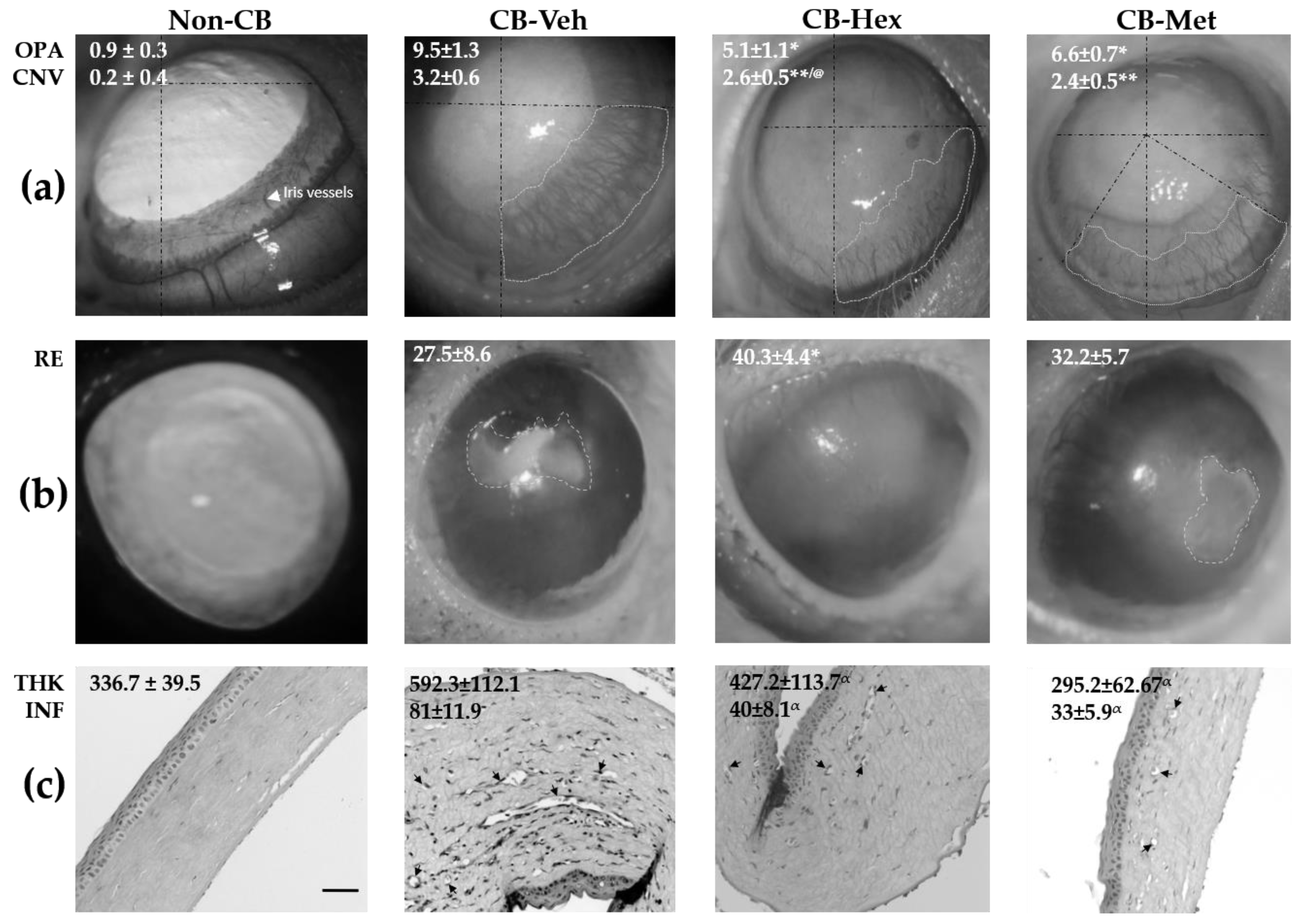 Nutrients 11 01184 g001 Nutrients 11 01184 g001