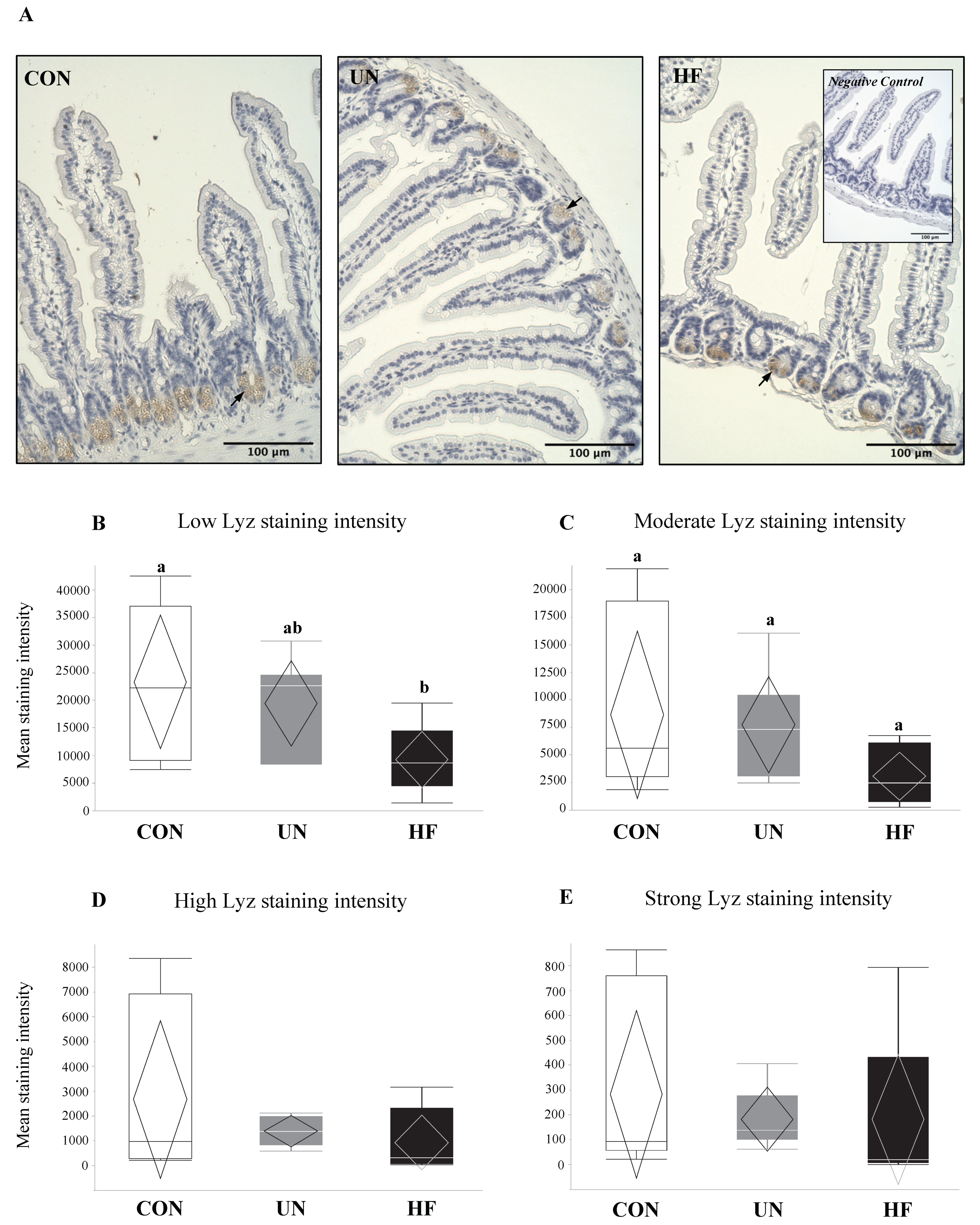 Nutrients 11 01375 g003
