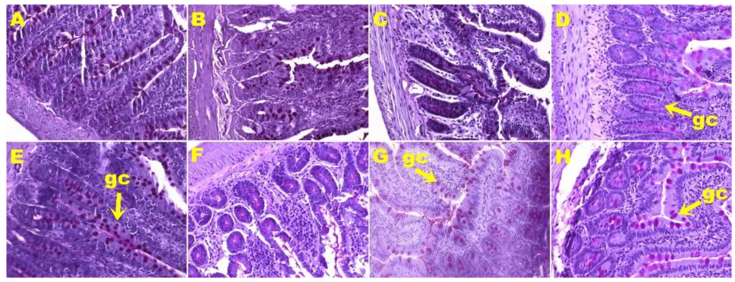 Nutrients 11 01677 g005 Nutrients 11 01677 g005