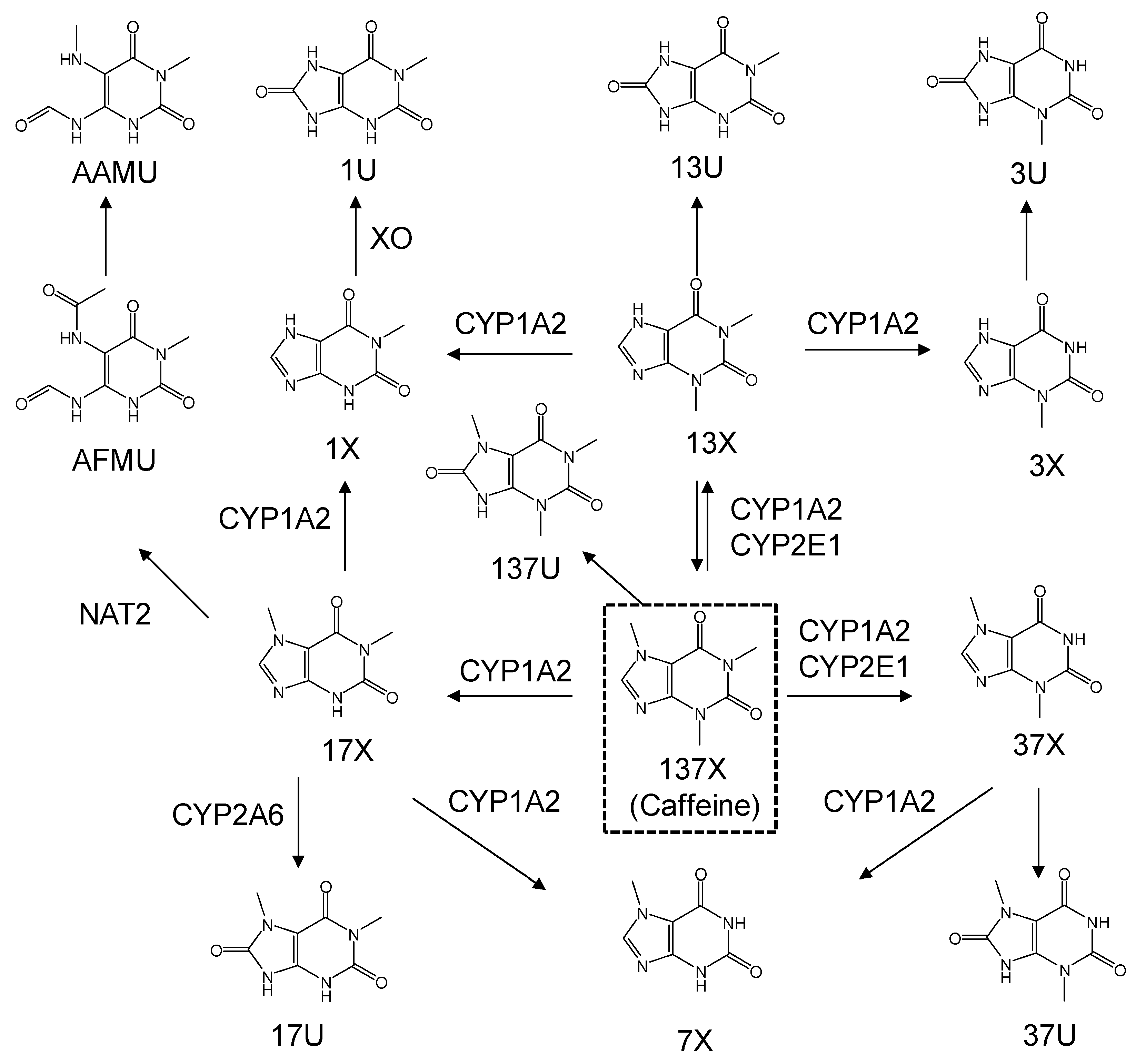 Nutrients 11 01947 g001