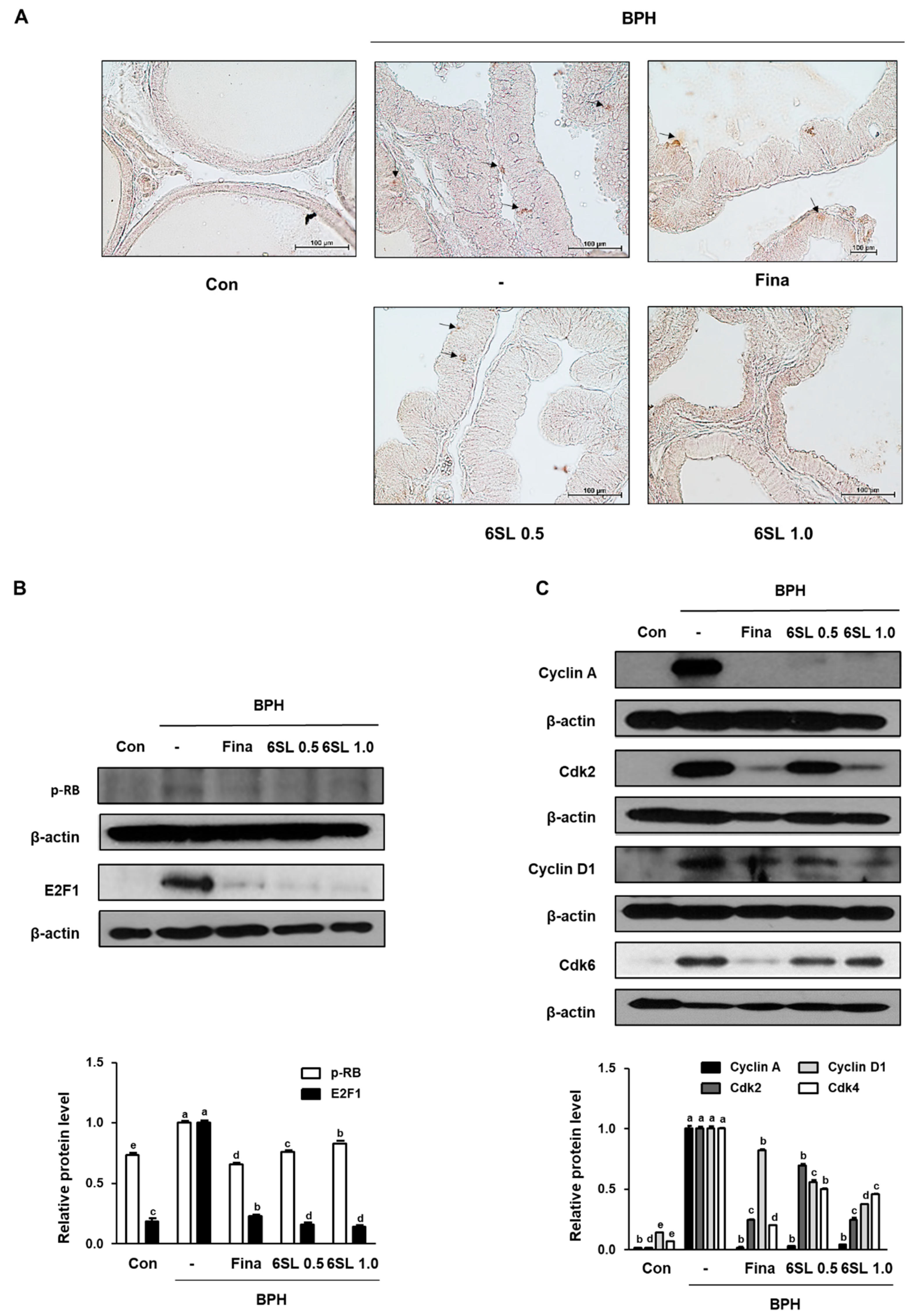 Nutrients 11 02203 g003 Nutrients 11 02203 g003