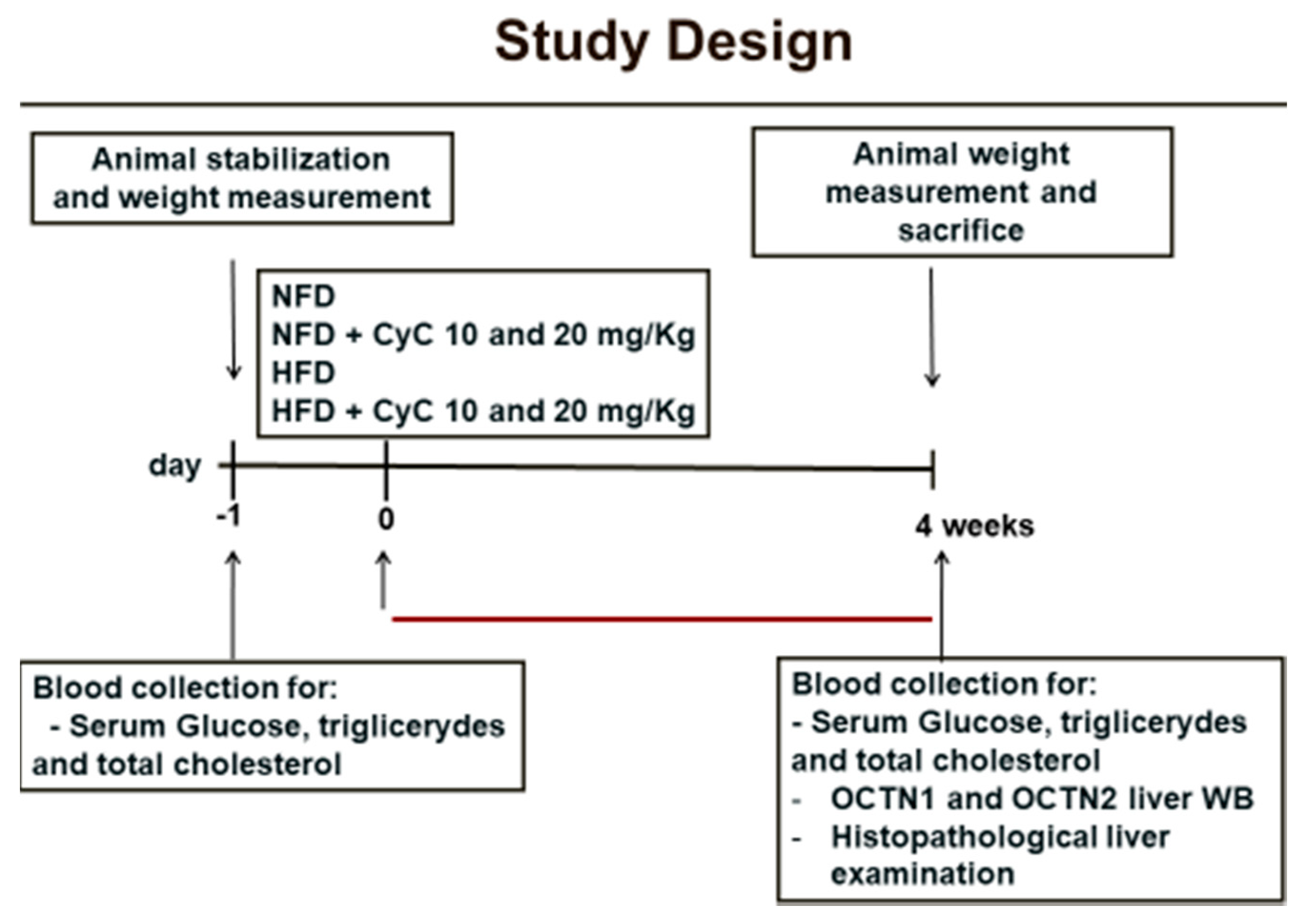 Nutrients 12 01435 g001