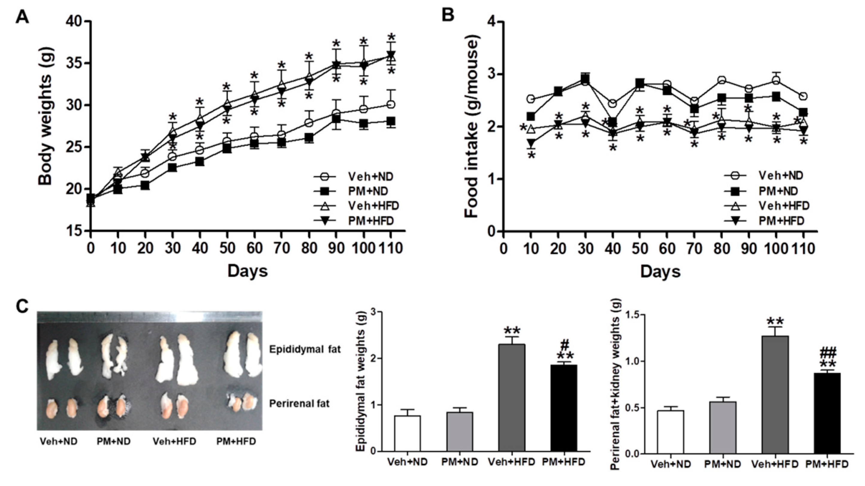 Nutrients 12 02353 g004
