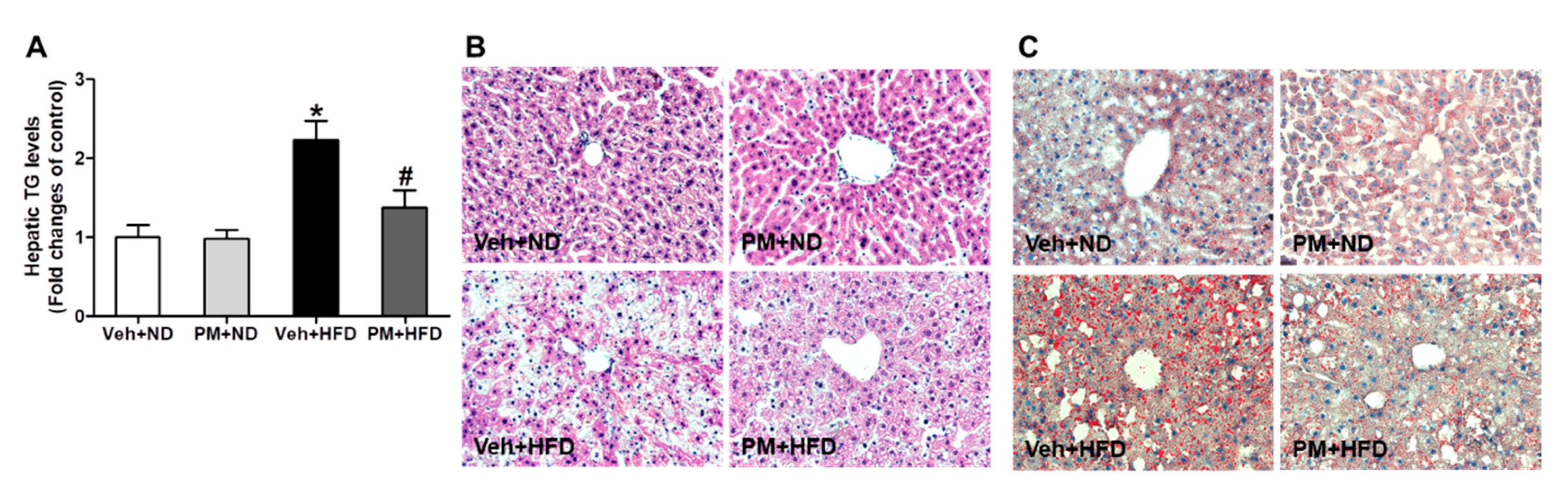 Nutrients 12 02353 g005