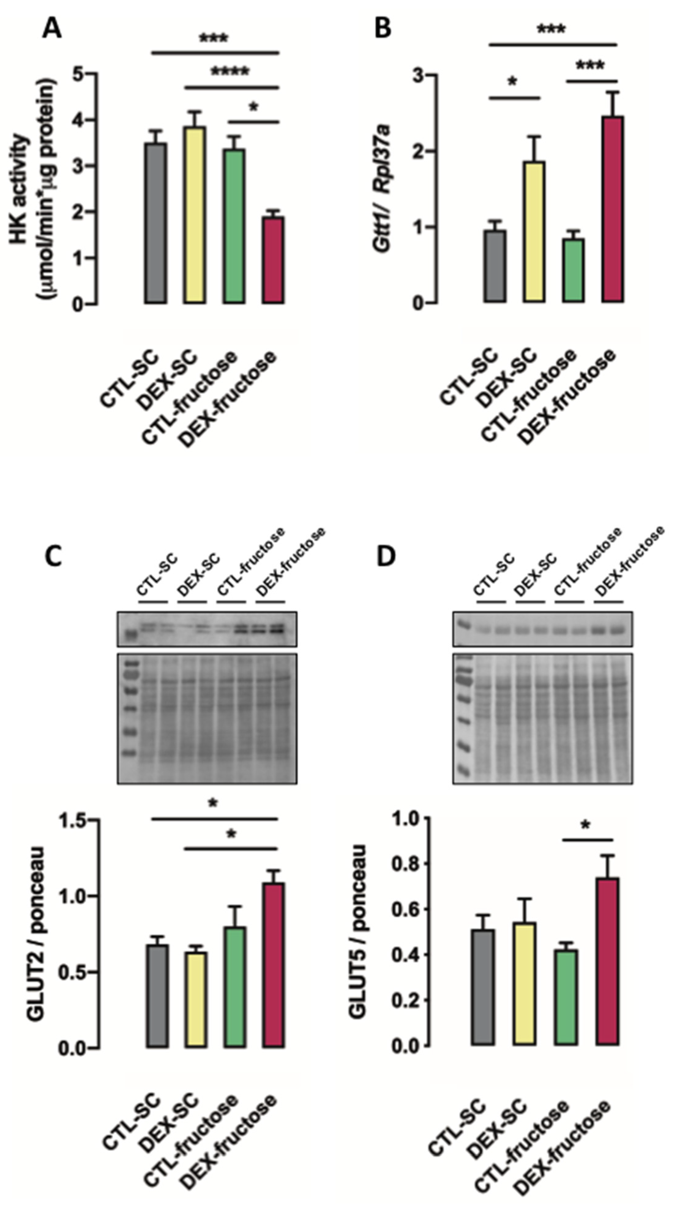 Nutrients 12 03062 g005