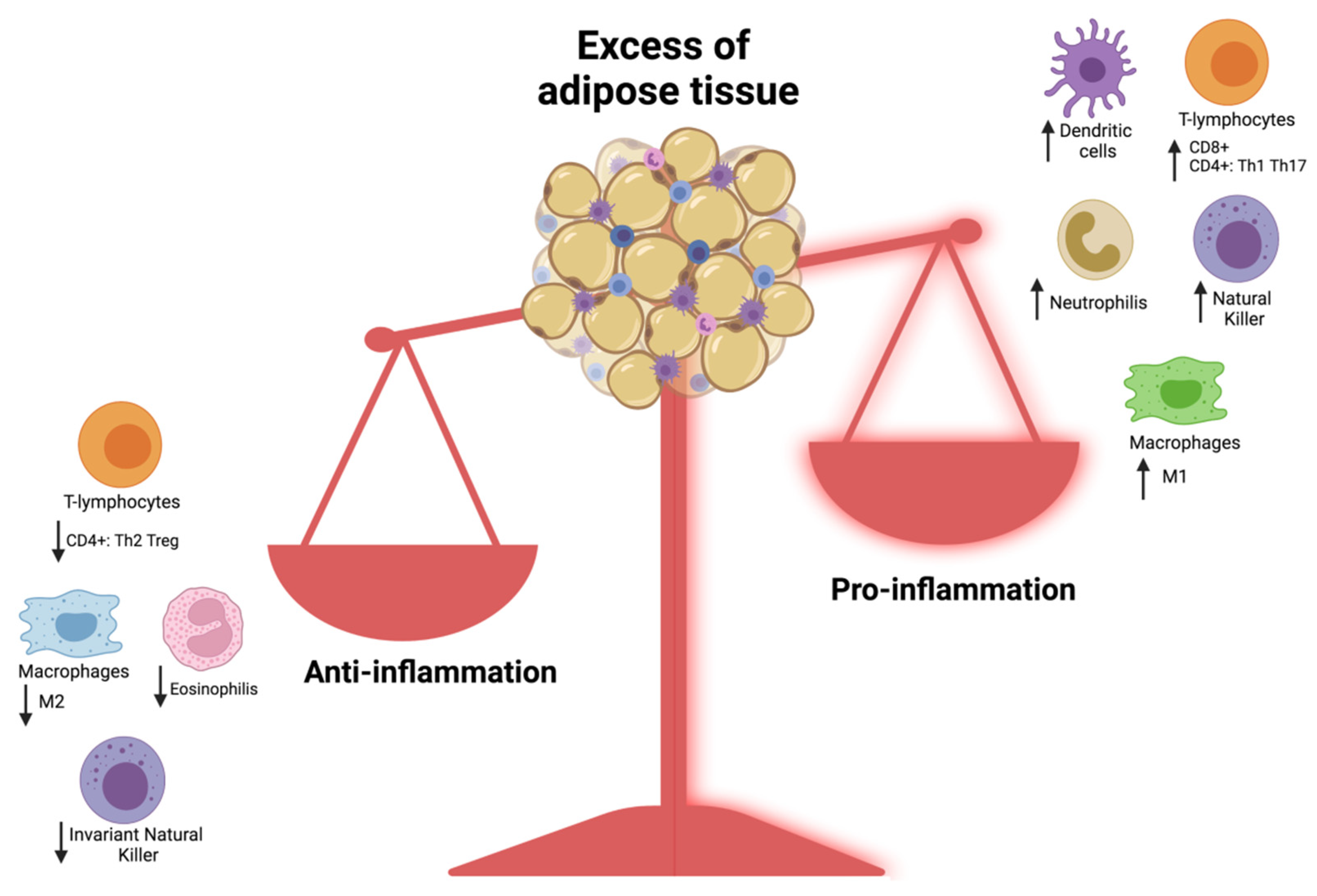 Nutrients 14 01701 g001