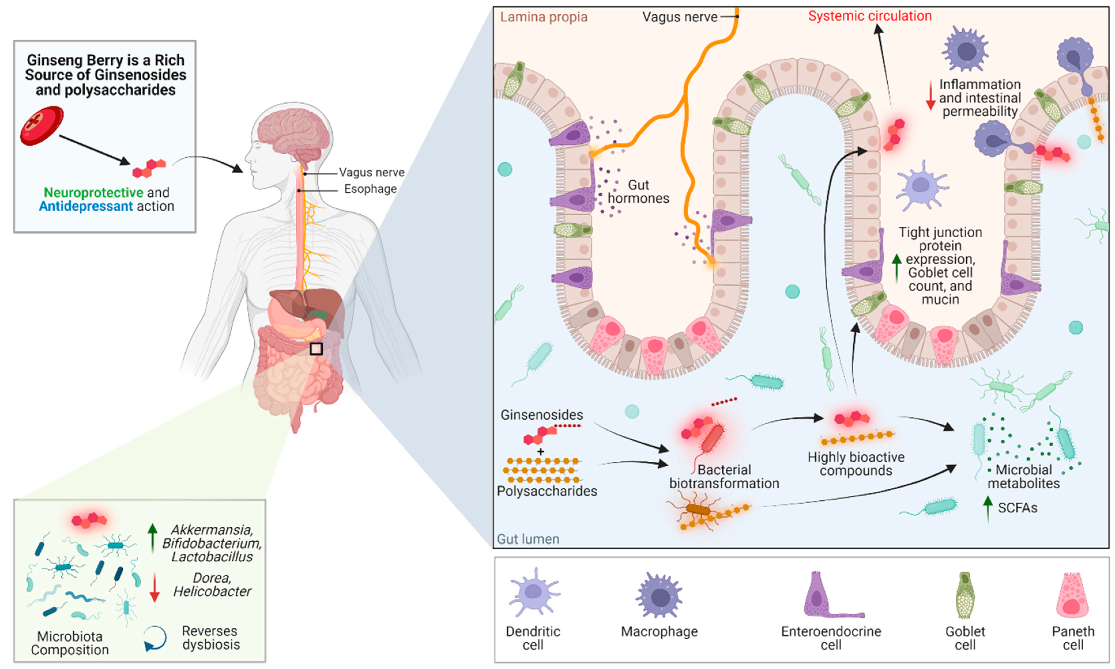Nutrients 14 02523 g001