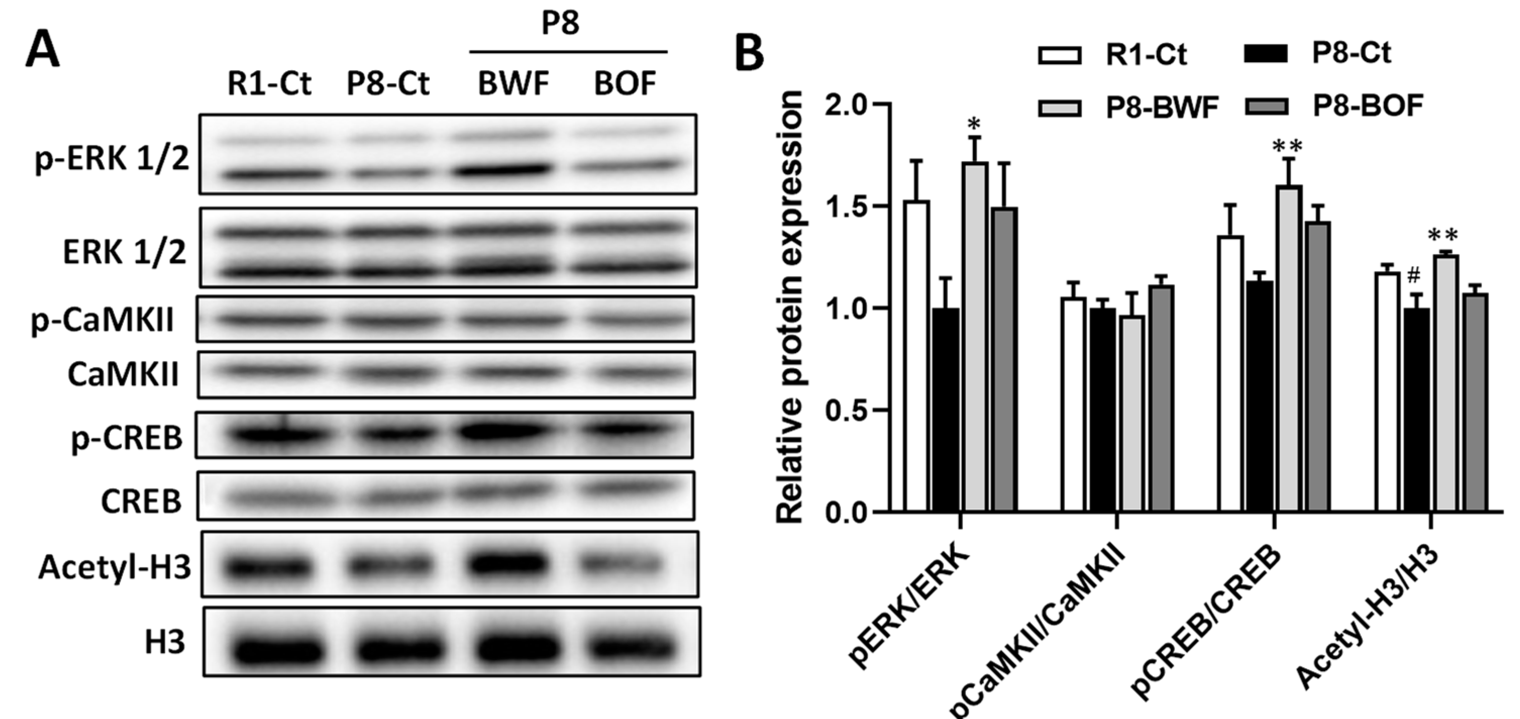 Nutrients 14 02708 g005