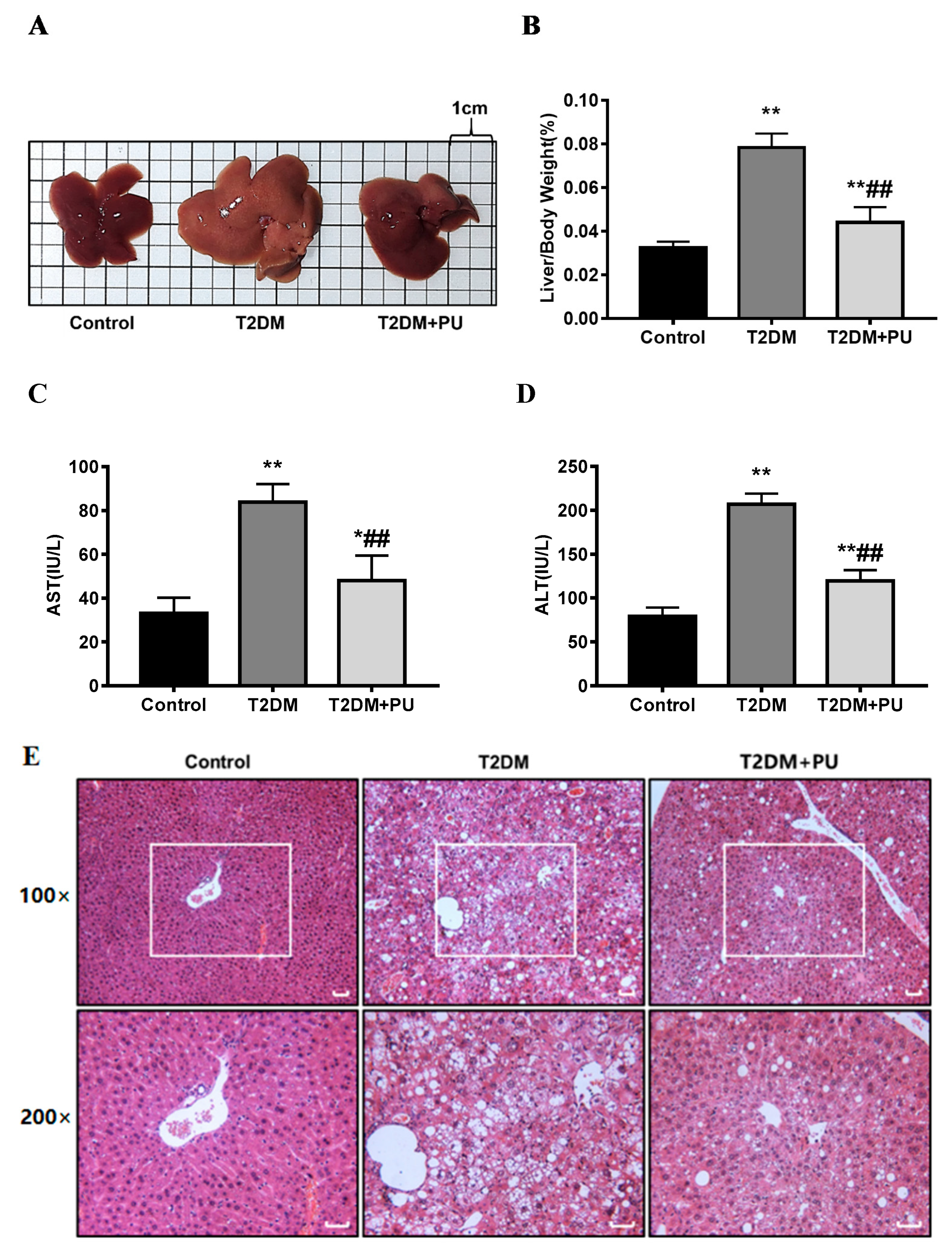 Nutrients 14 02782 g002