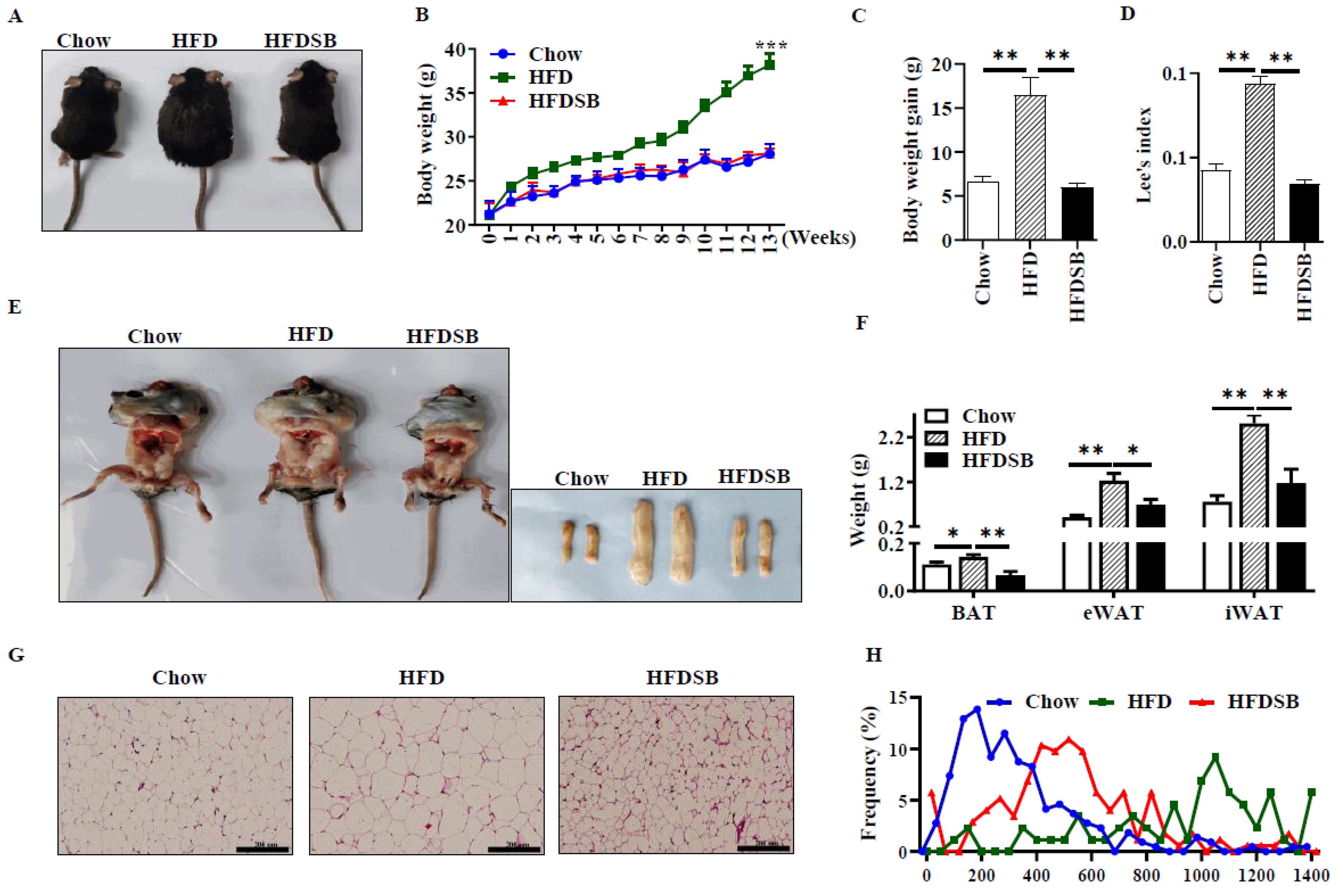 Nutrients 14 02903 g001