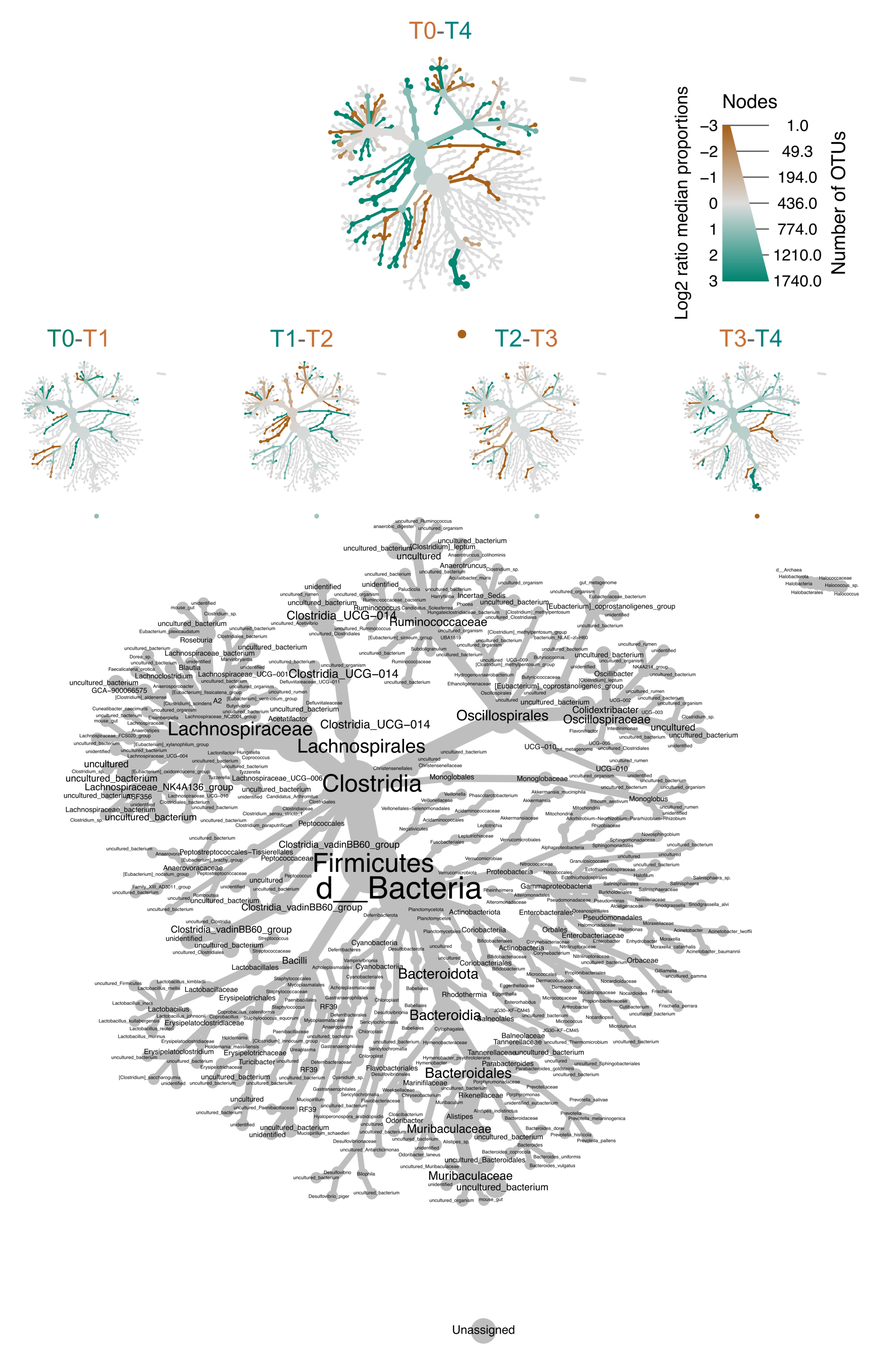Nutrients 14 02937 g006