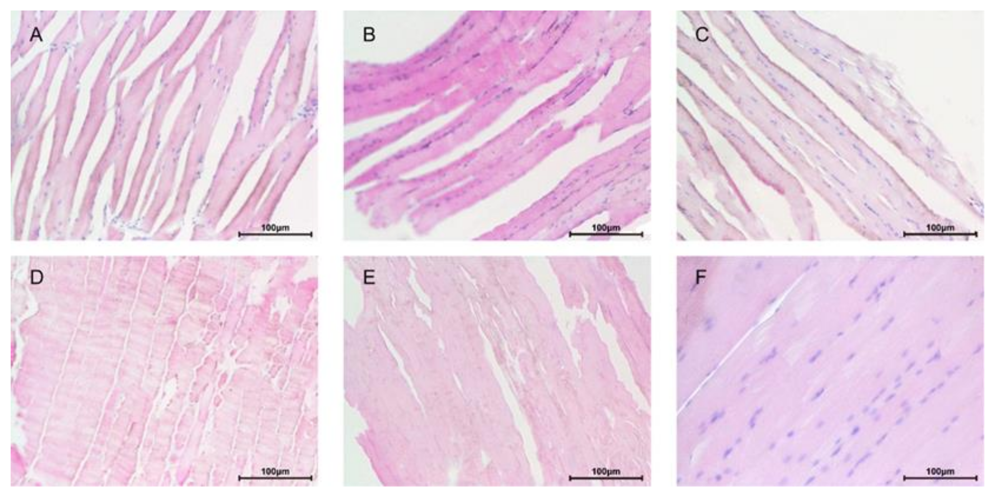Nutrients 14 02973 g002