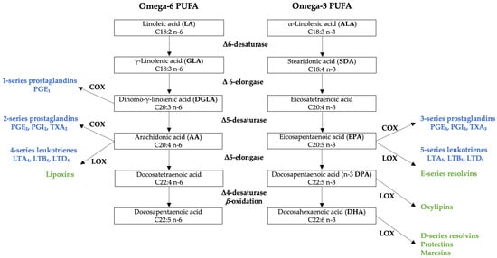 Nutrients Free Full Text Omega And Omega Polyunsaturated Fatty