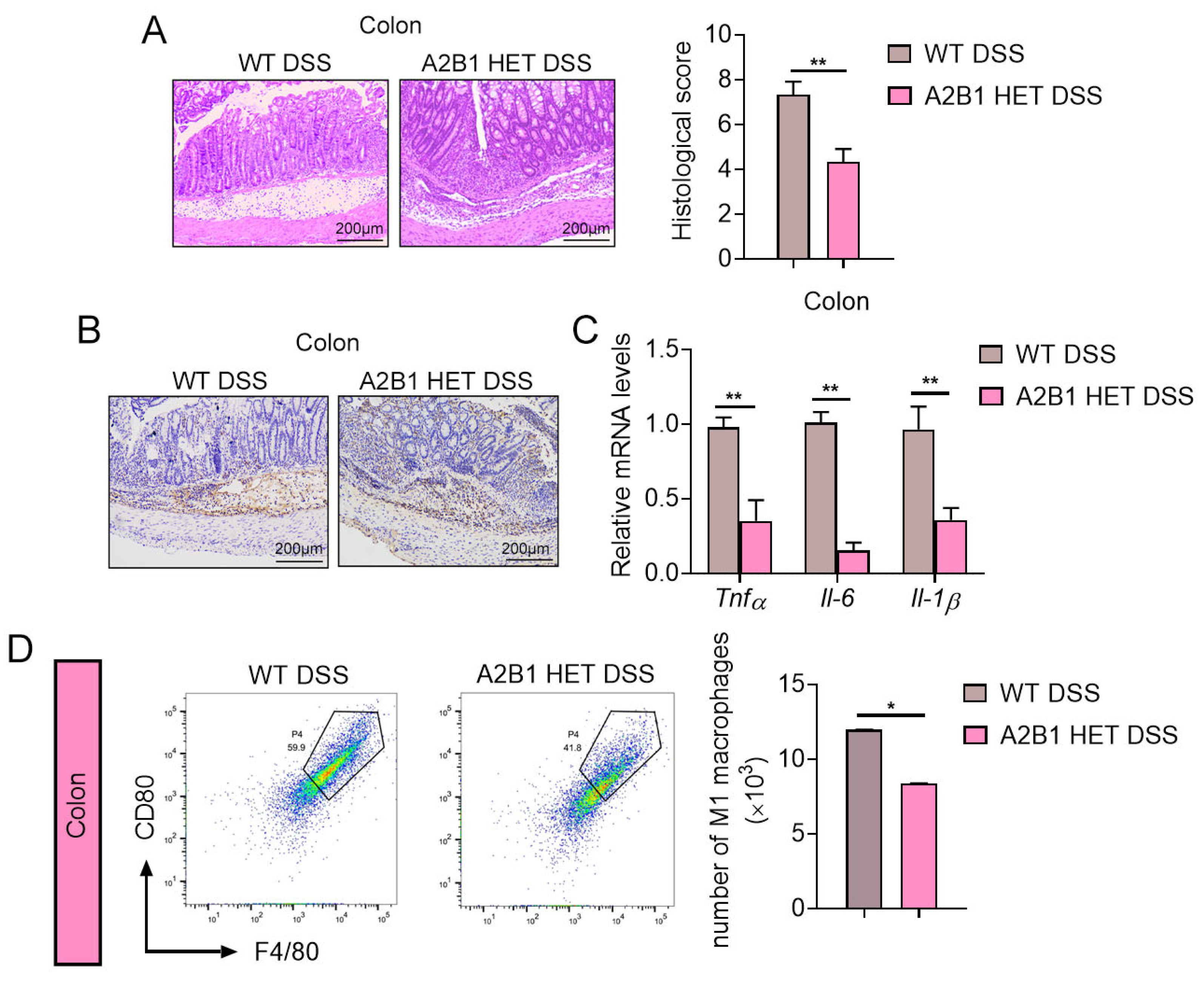 Nutrients 15 01555 g003