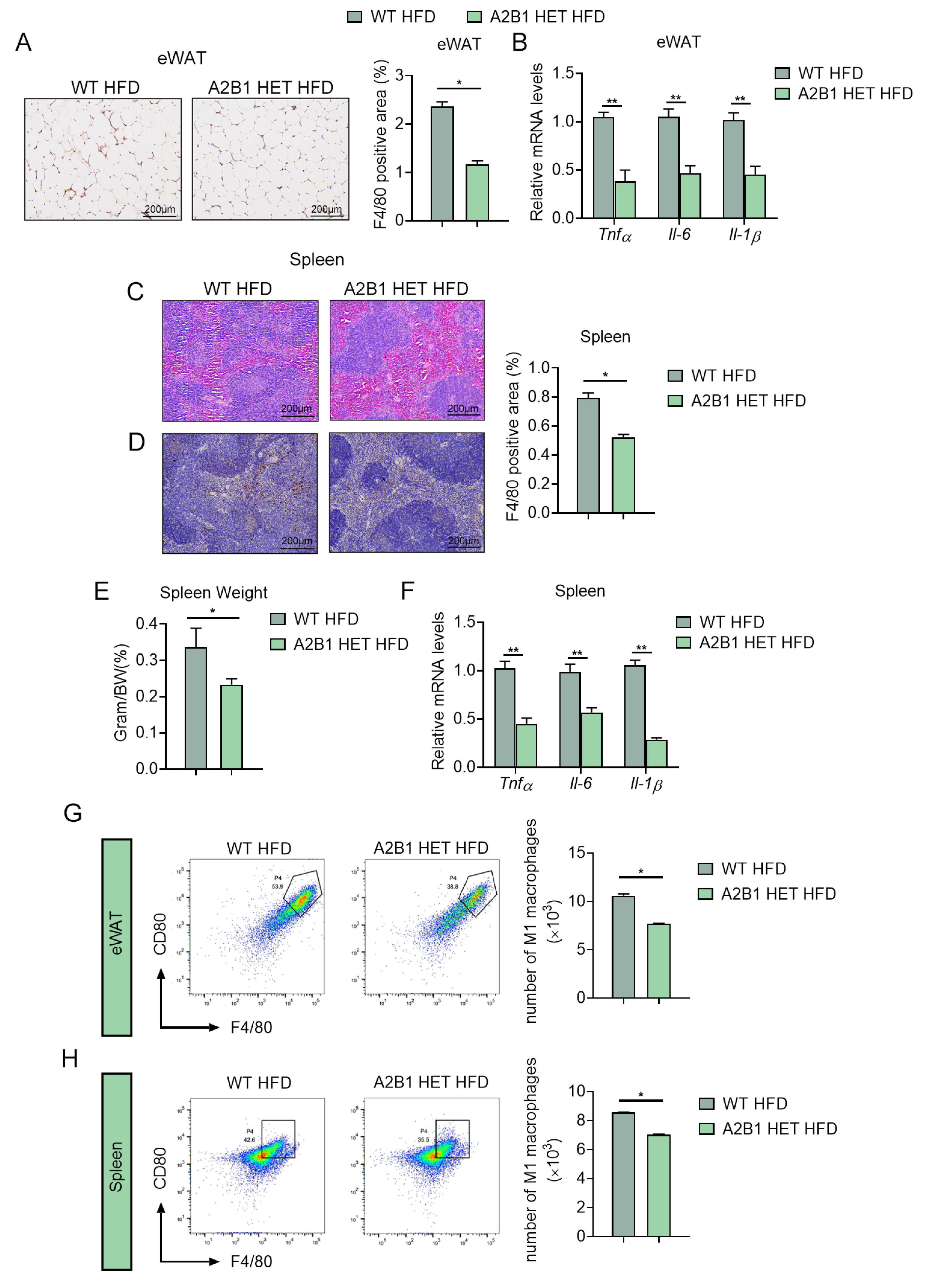 Nutrients 15 01555 g005