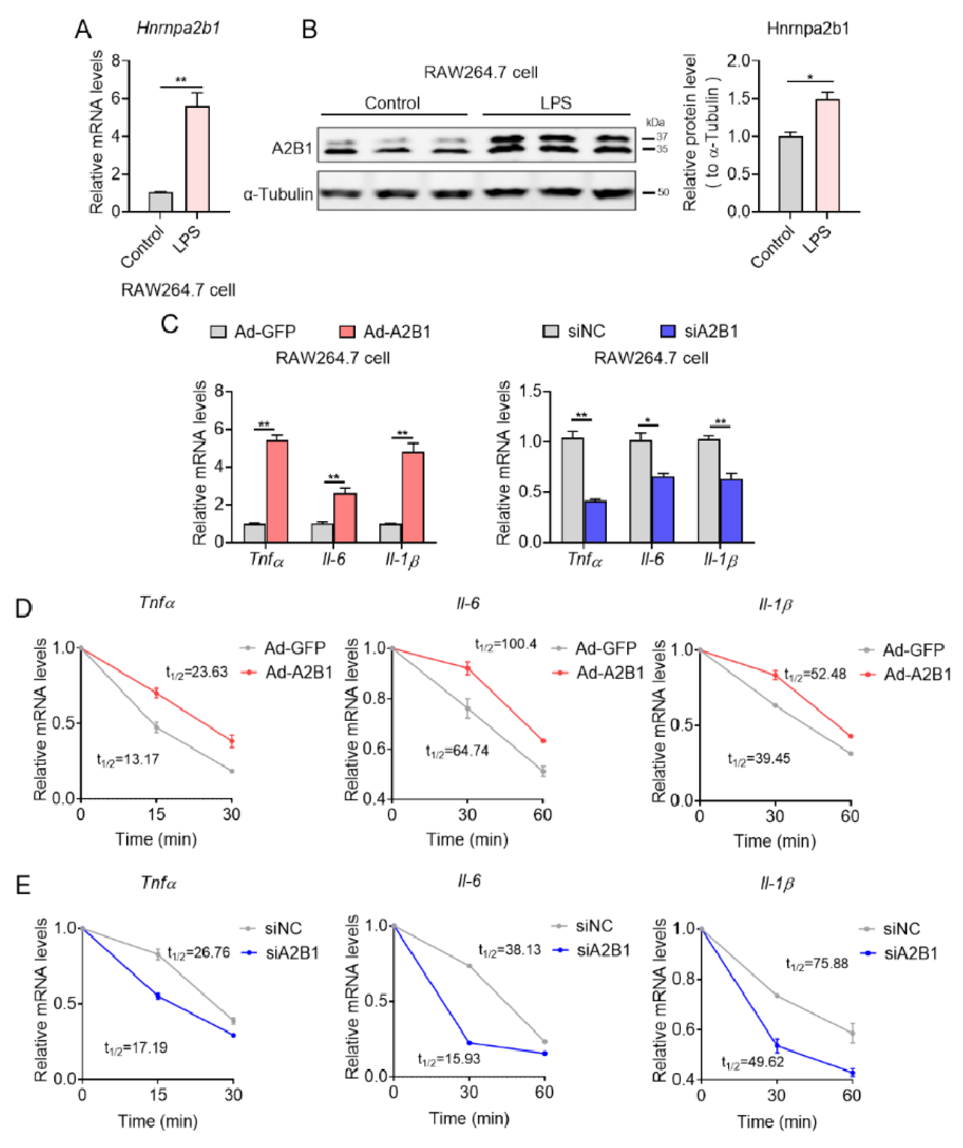 Nutrients 15 01555 g008