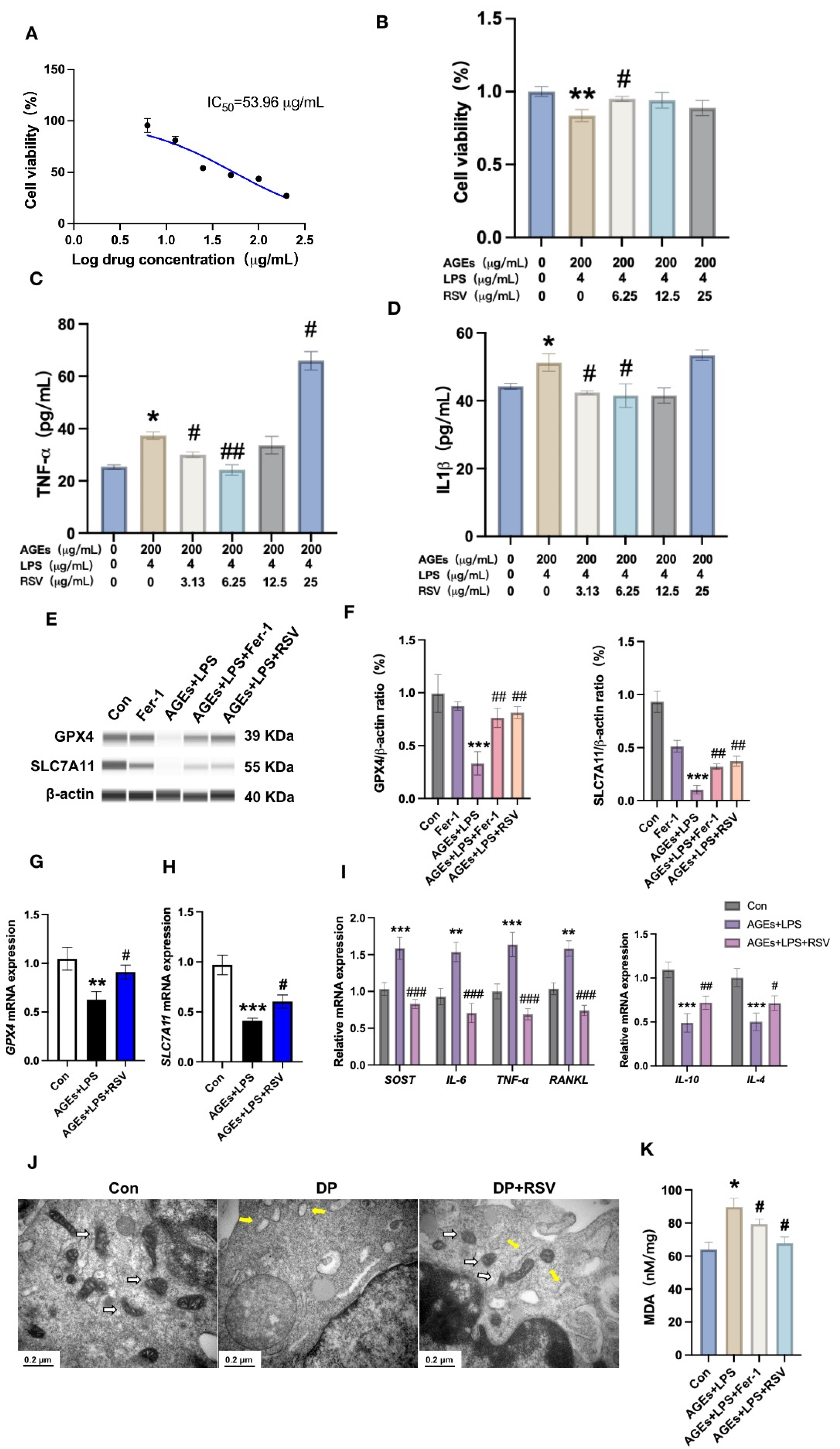 Nutrients 15 02115 g004