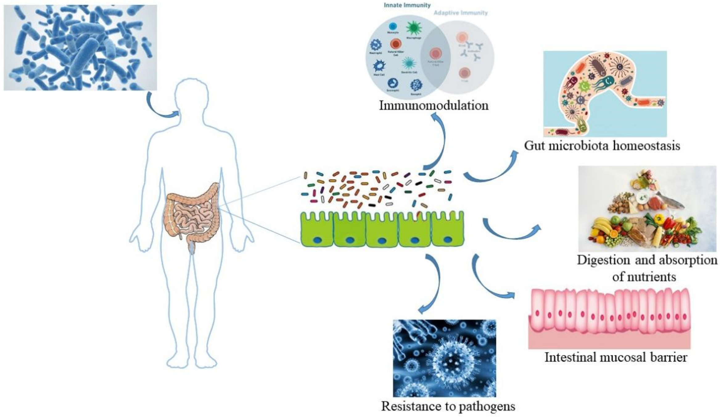 Nutrients 15 03123 g003 Nutrients 15 03123 g003