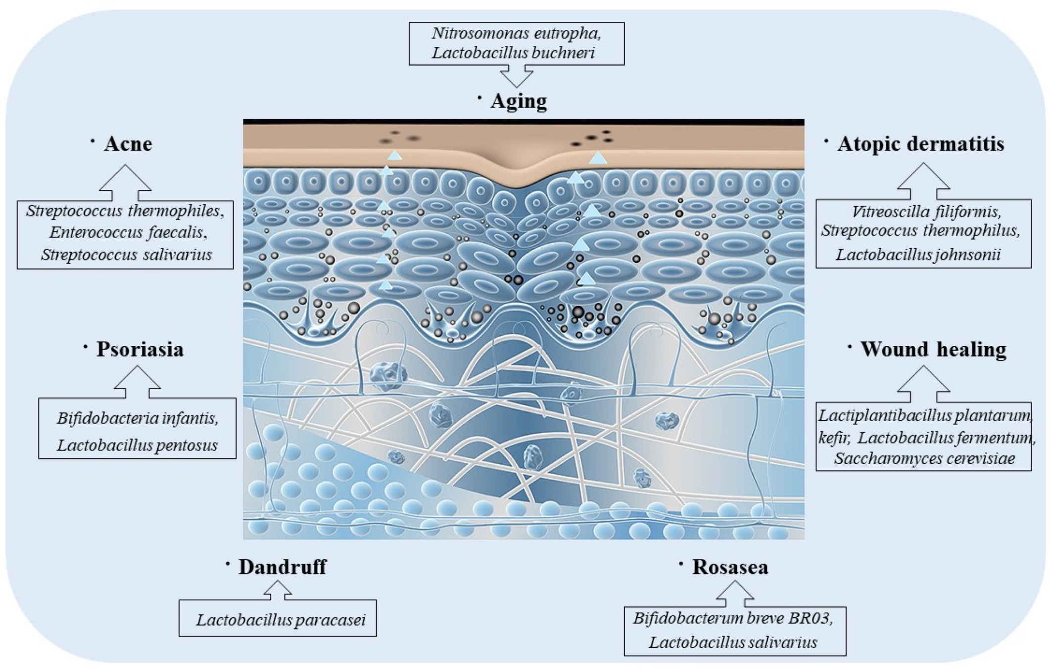 Nutrients 15 03123 g004 Nutrients 15 03123 g004