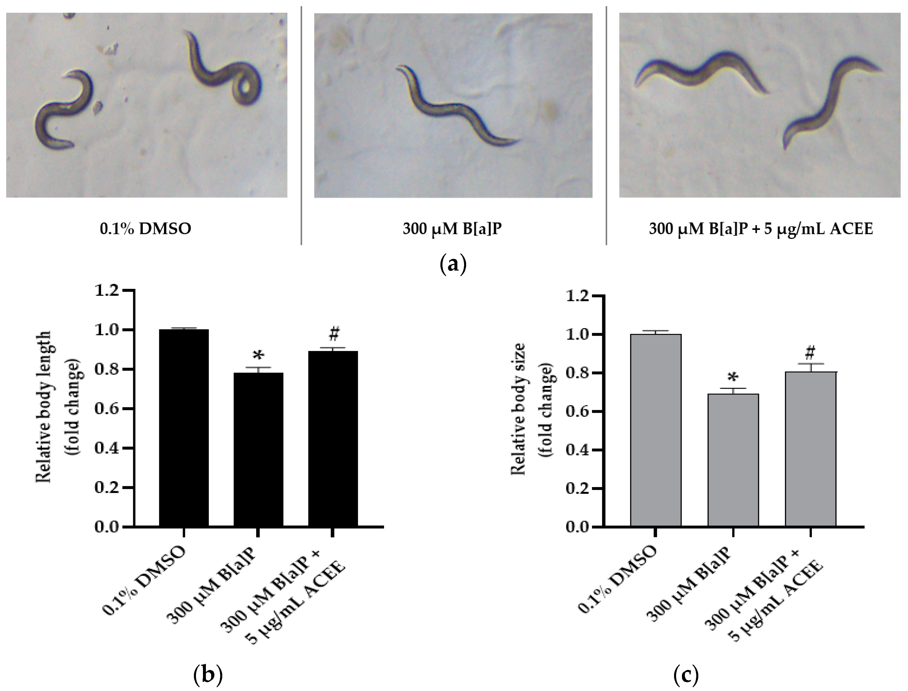 Nutrients 15 03985 g008