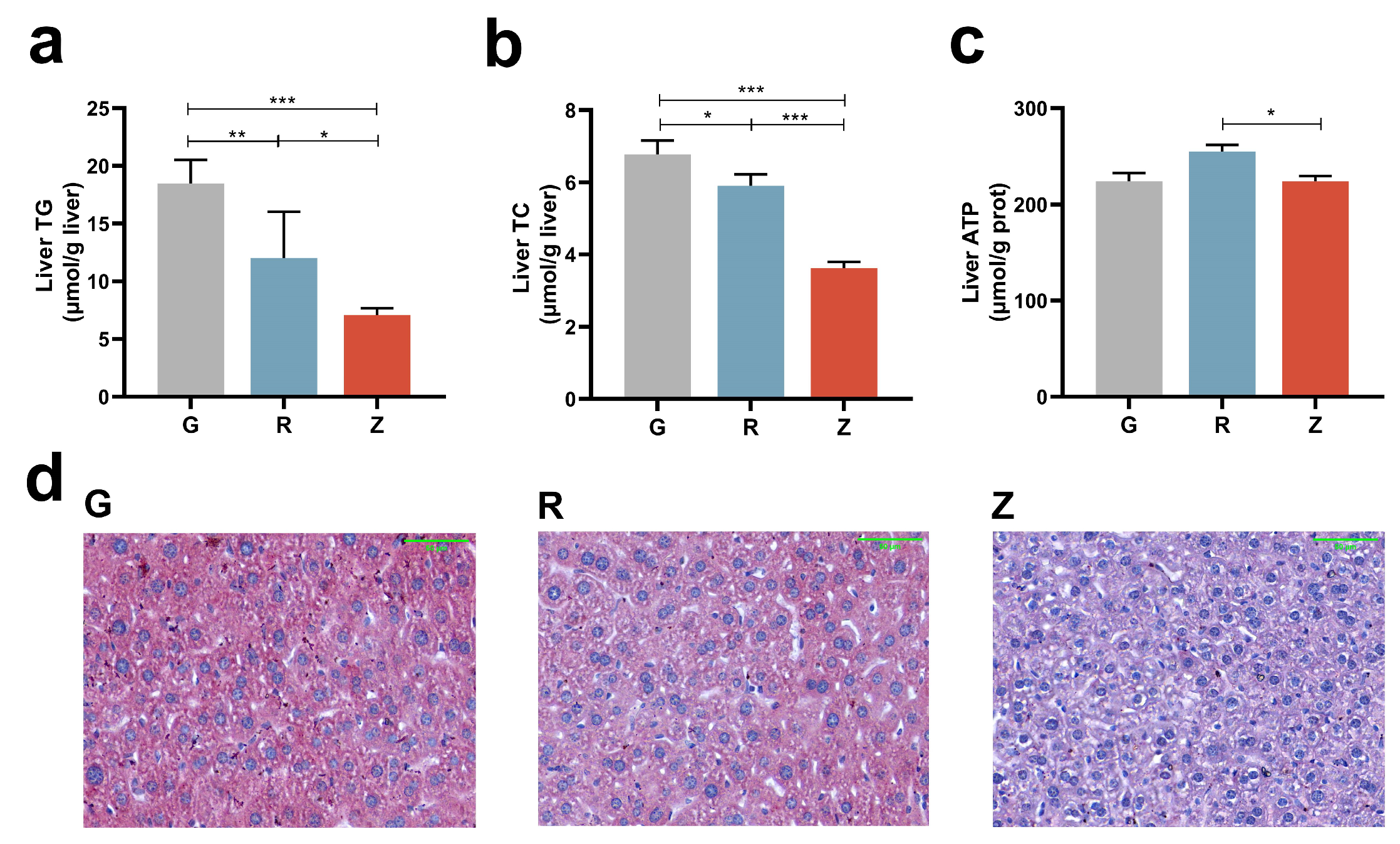 Nutrients 15 04888 g002