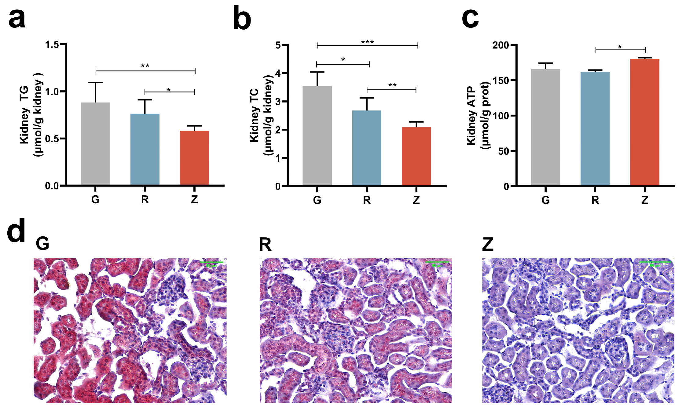 Nutrients 15 04888 g003