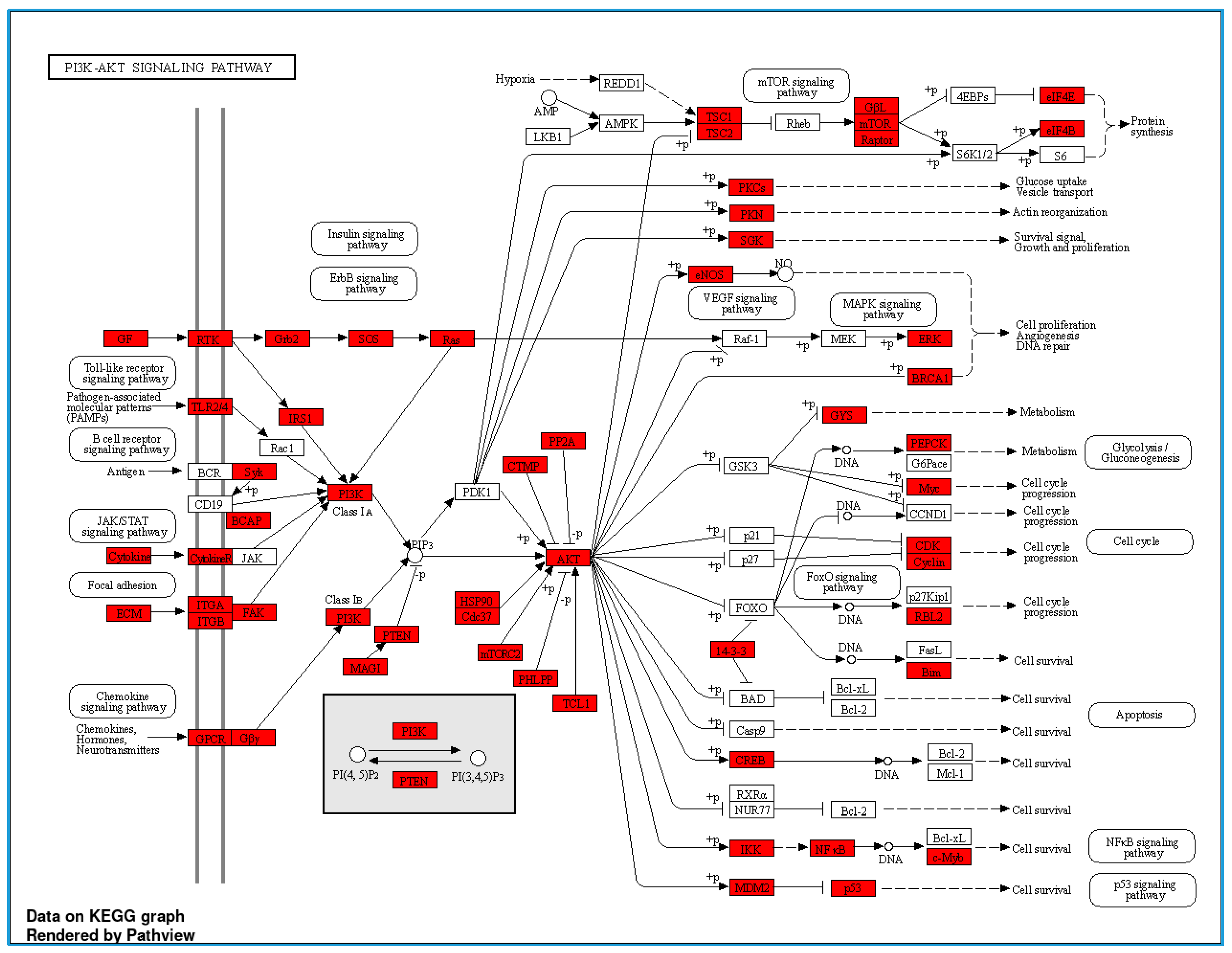 Nutrients 16 00877 g004