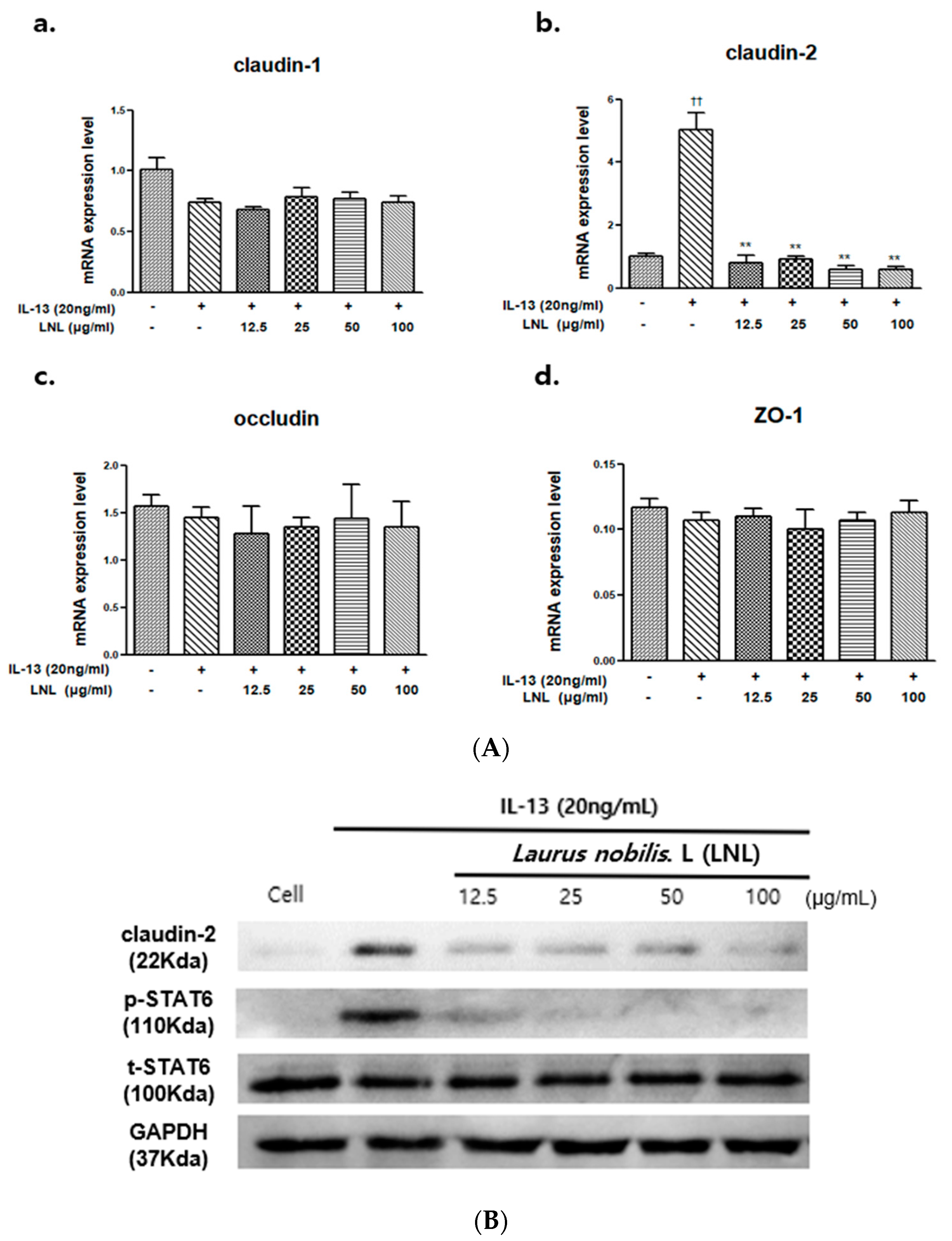 Nutrients 16 01250 g003