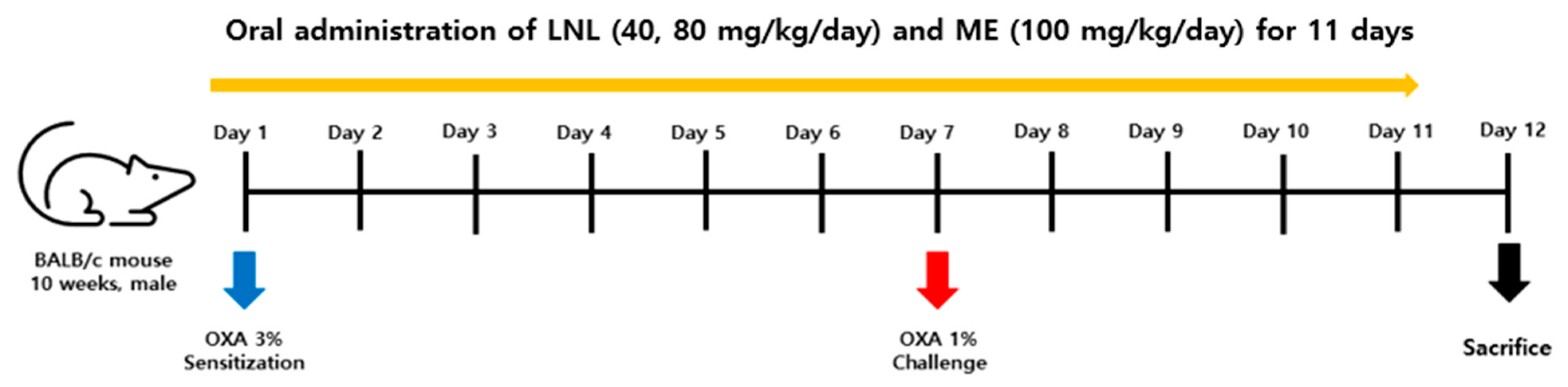 Nutrients 16 01250 sch001