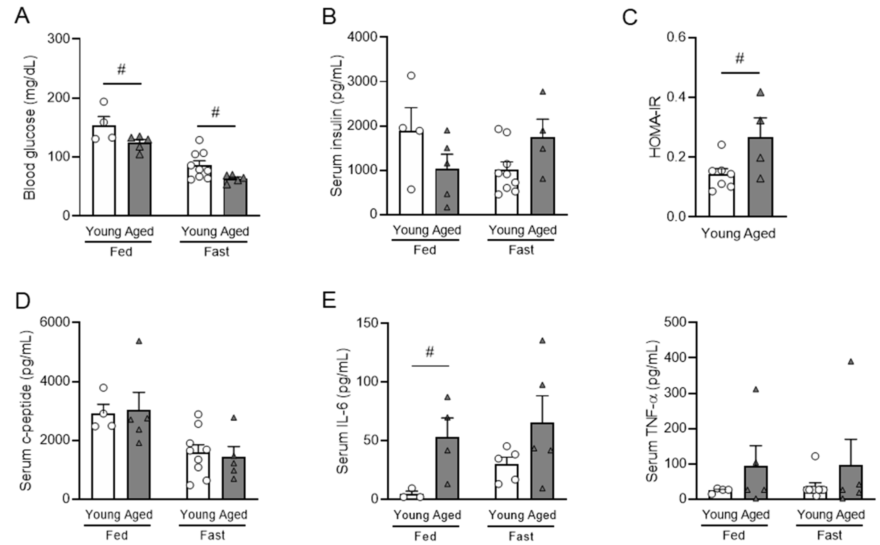 Nutrients 16 01464 g002