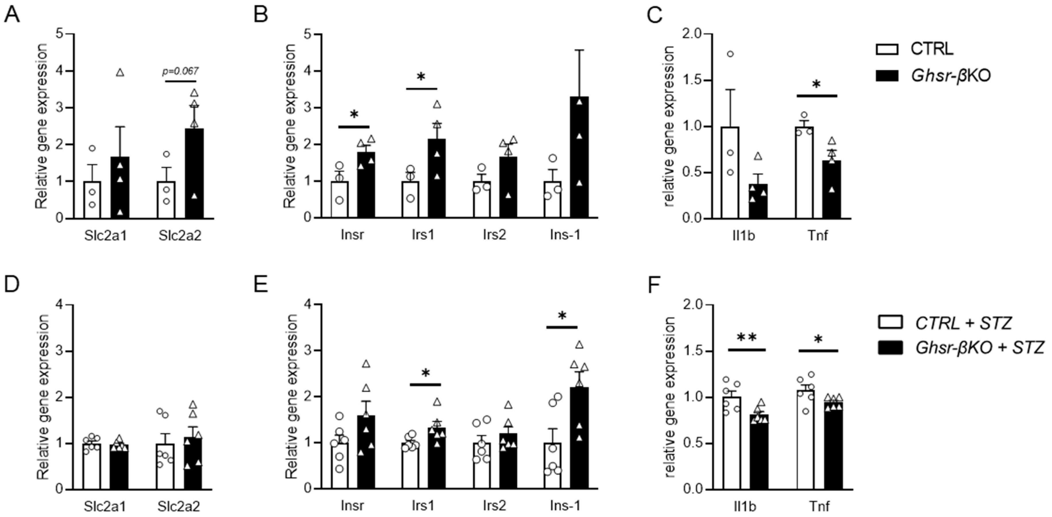 Nutrients 16 01464 g007