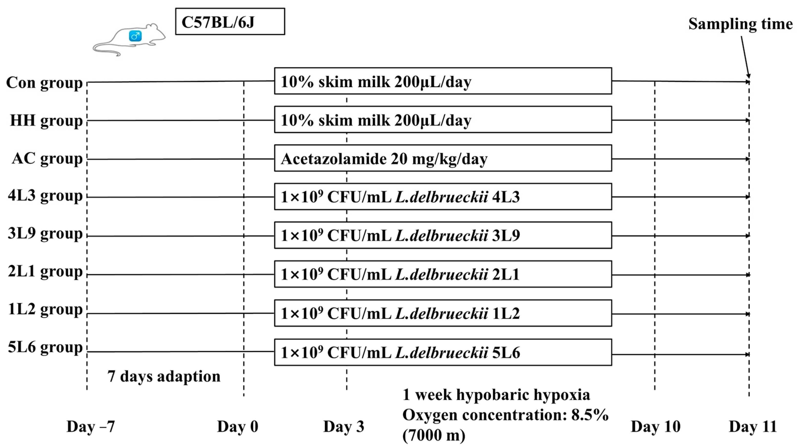 Nutrients 16 01465 g001