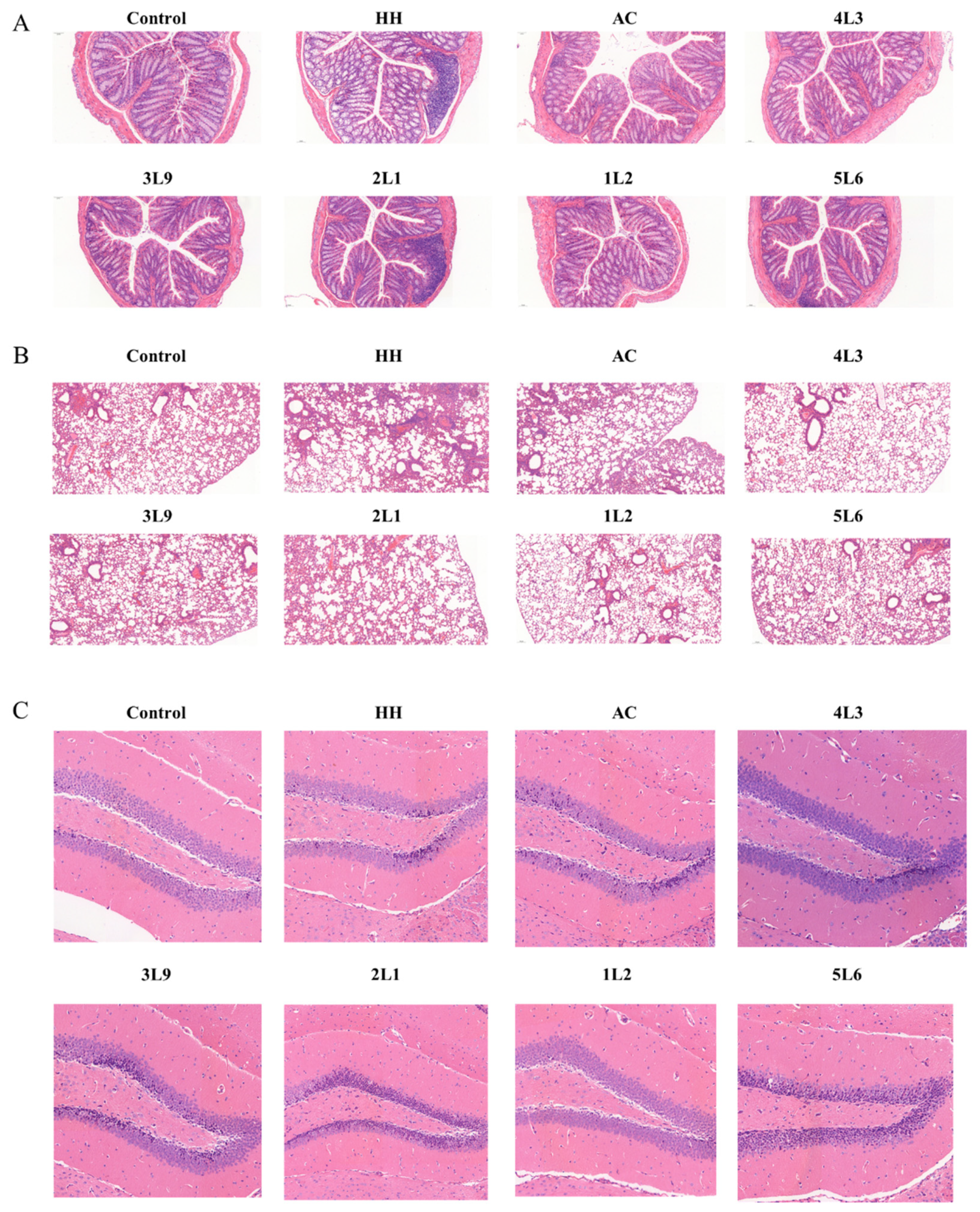 Nutrients 16 01465 g003