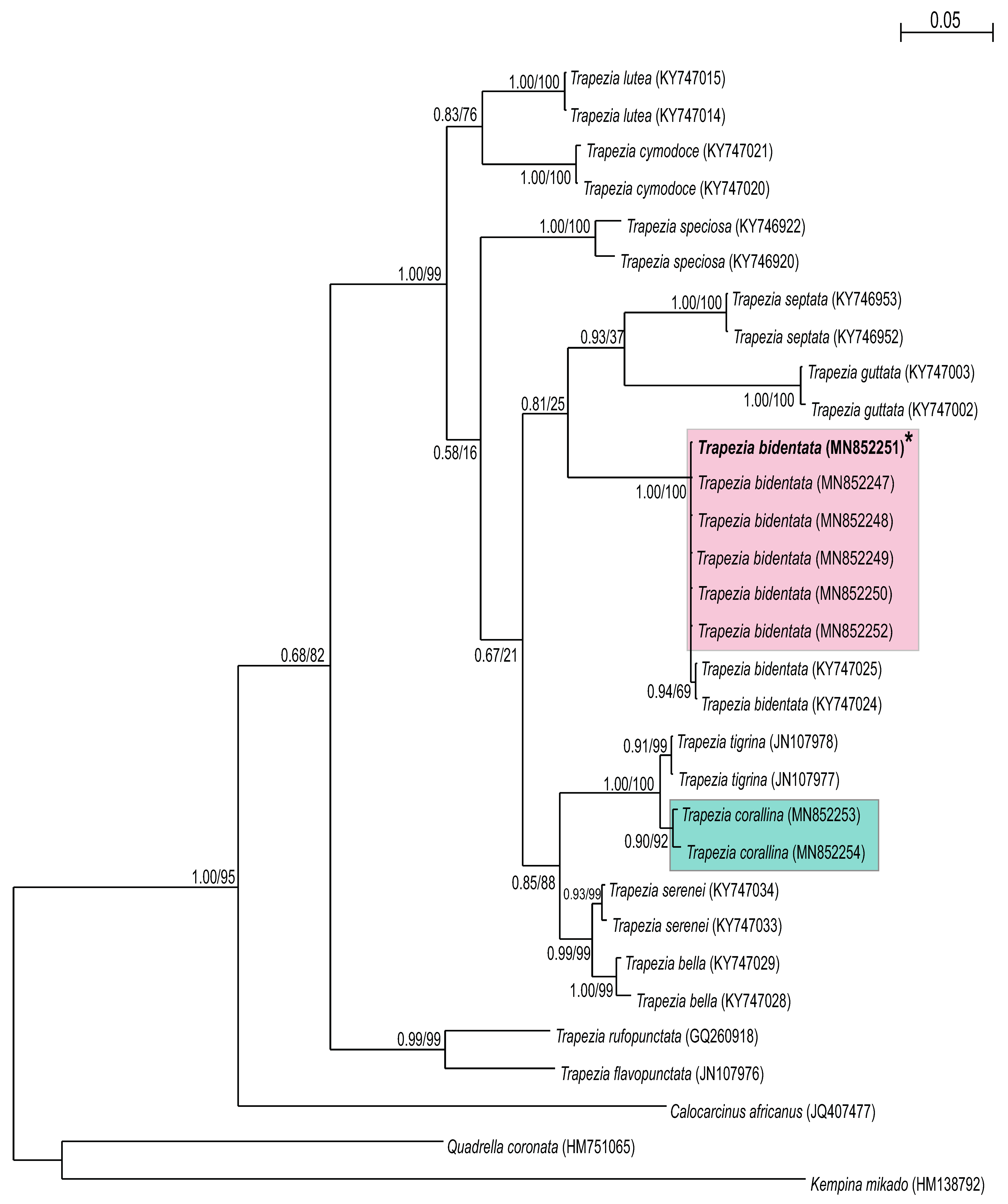 Oceans 01 00011 g004