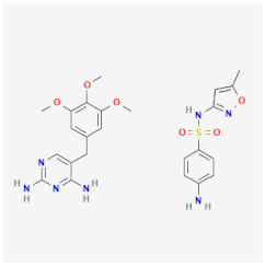 Parasitologia 04 00002 i009 Parasitologia 04 00002 i009