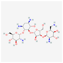 Parasitologia 04 00002 i014 Parasitologia 04 00002 i014
