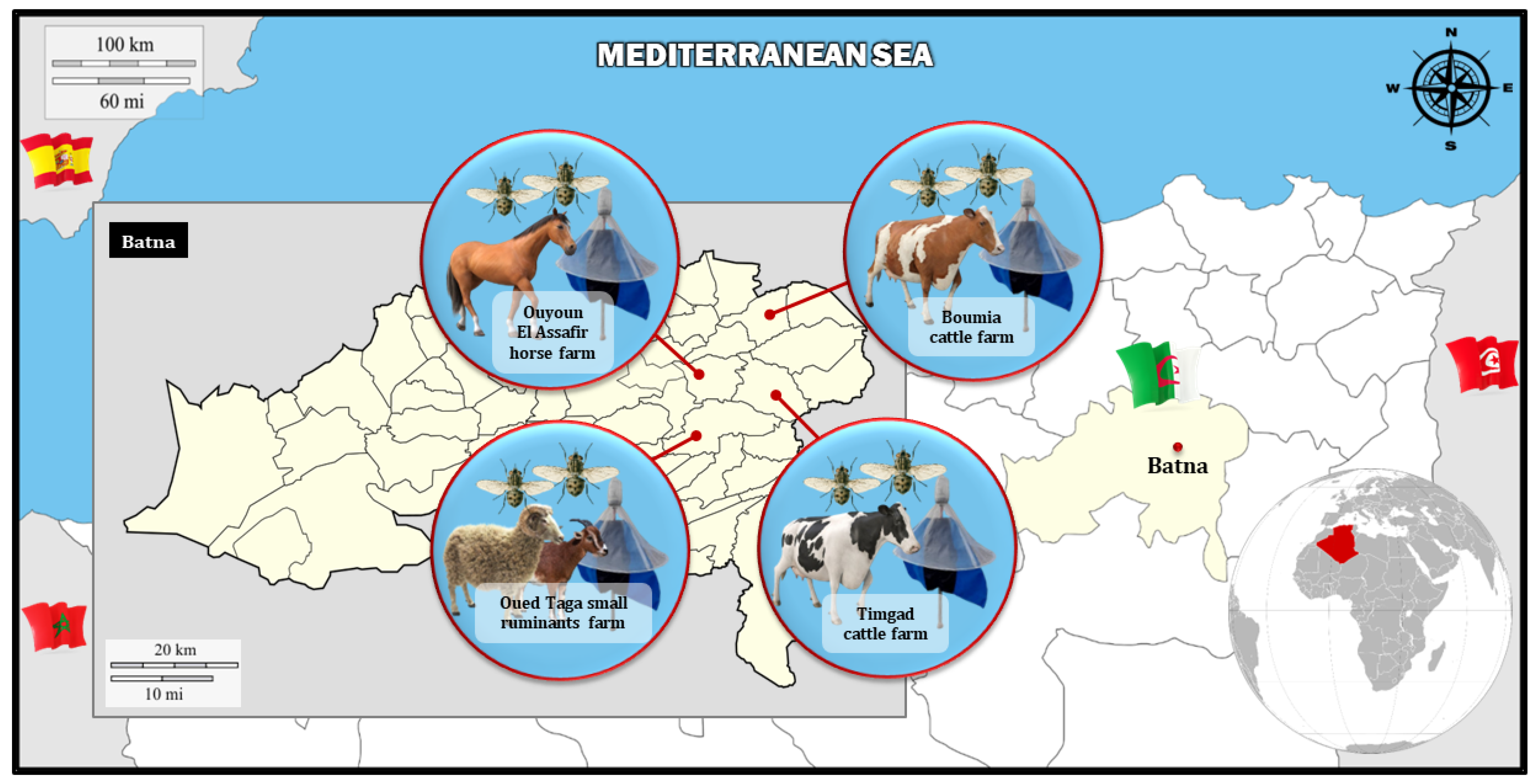 Parasitologia 05 00052 g001 Parasitologia 05 00052 g001