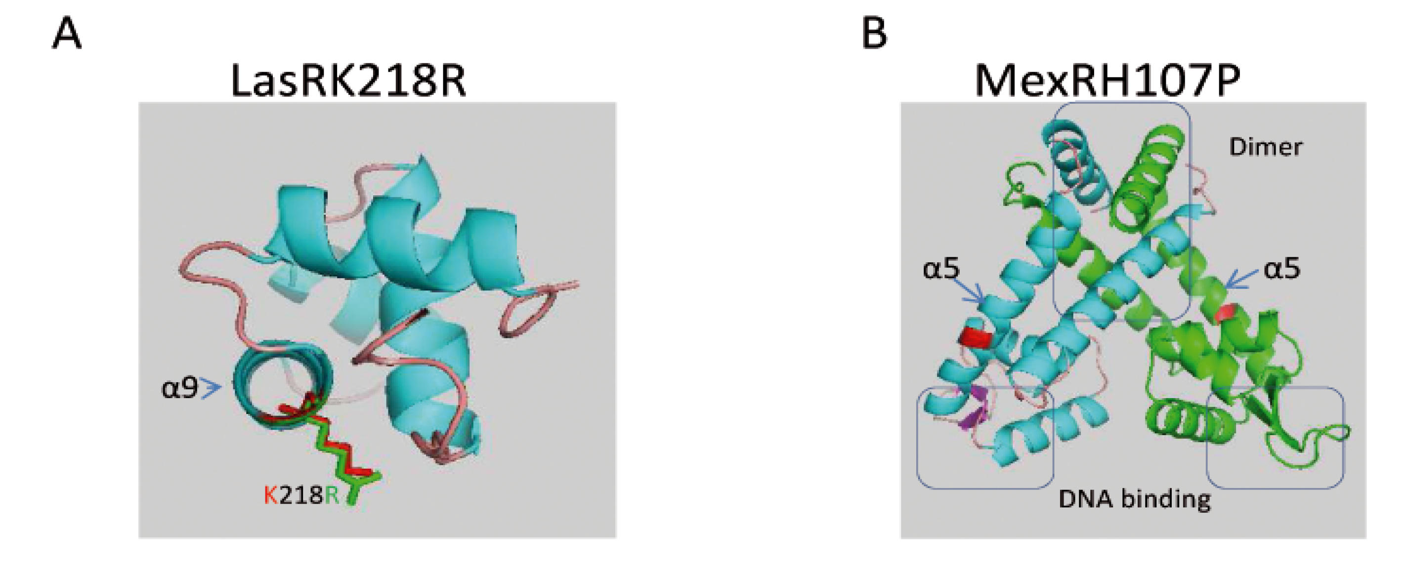 Pathogens 03 00309 g008