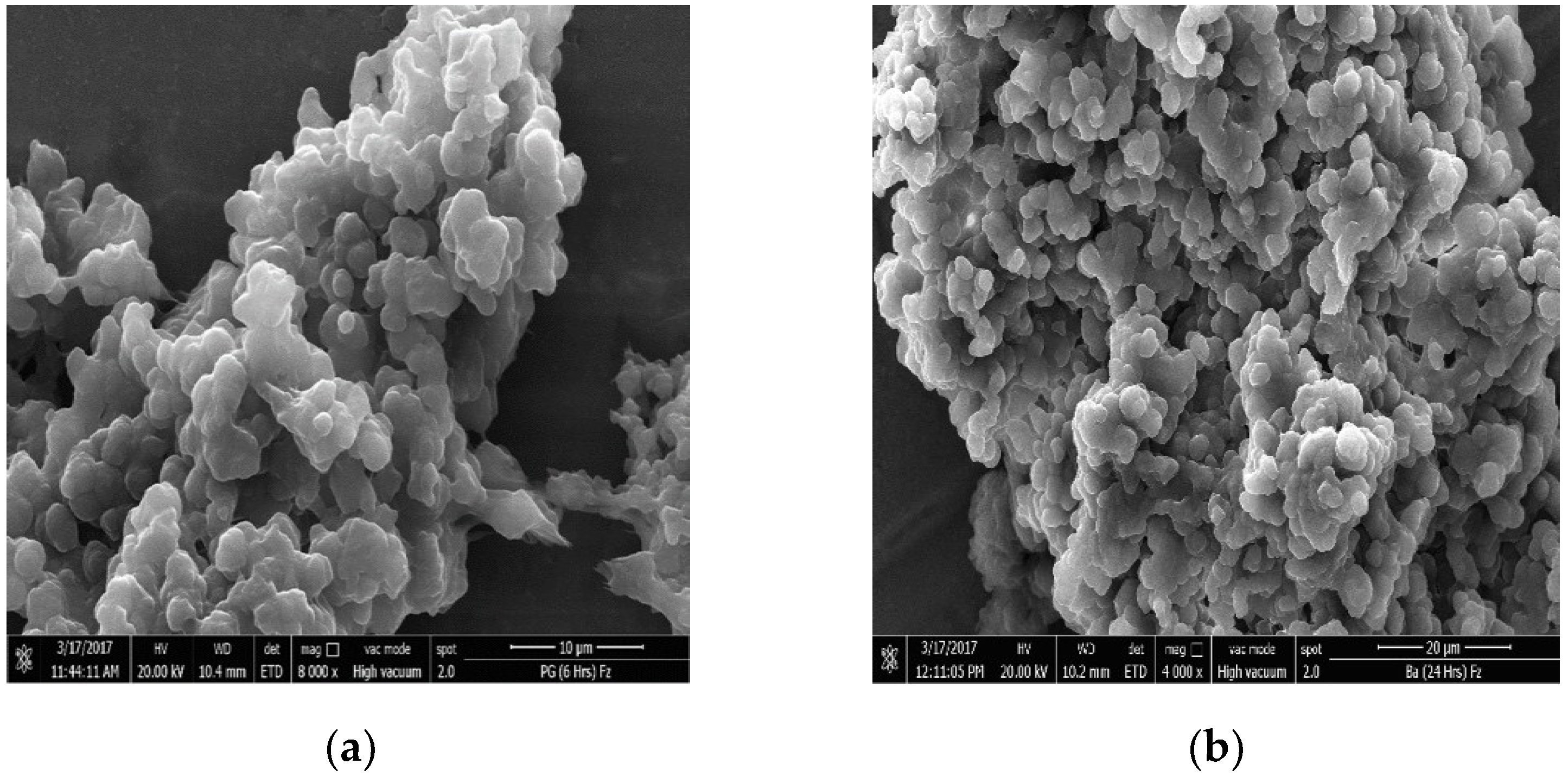 Pathogens 07 00062 g001 Pathogens 07 00062 g001