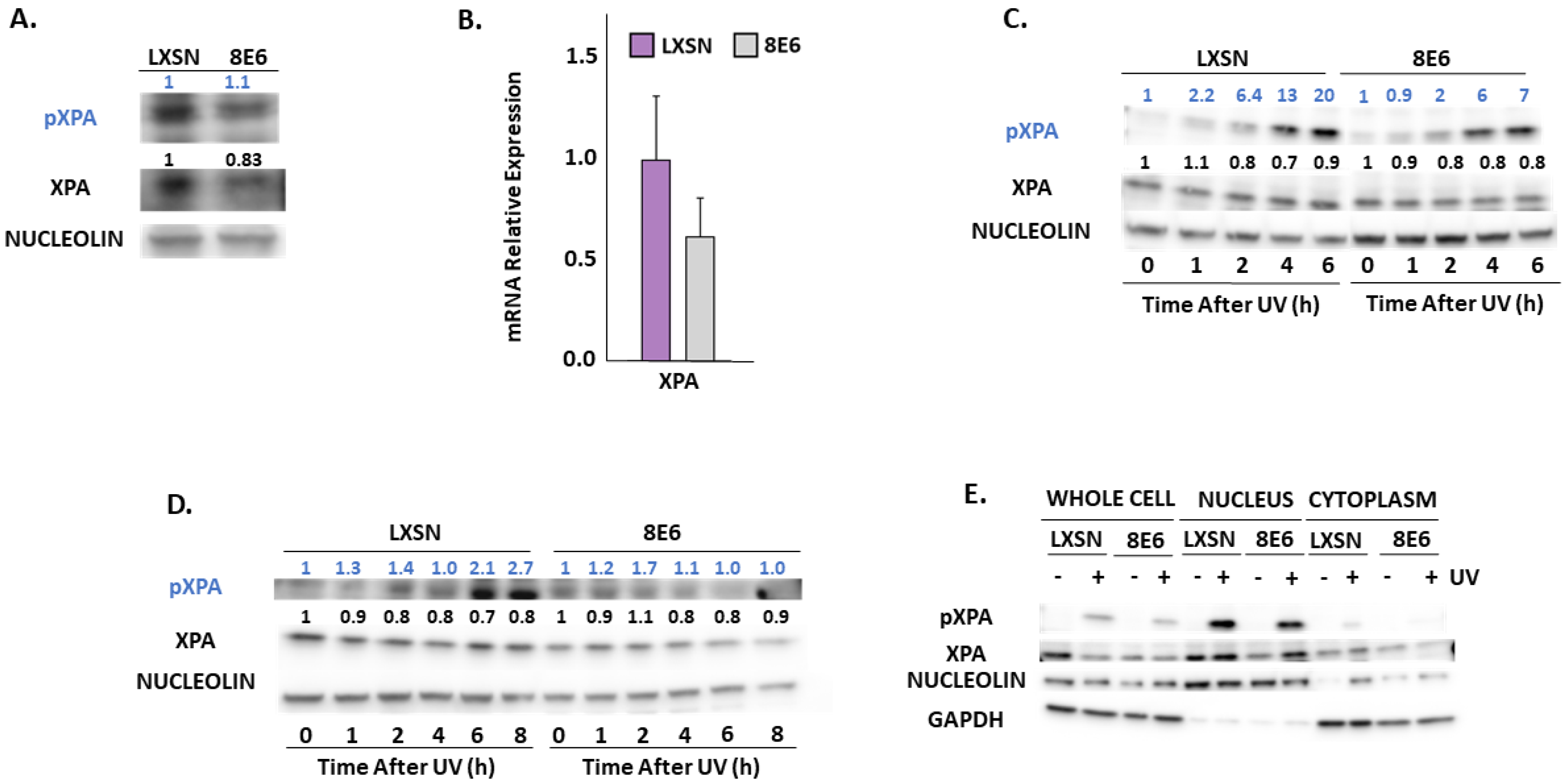 Pathogens 08 00267 g005