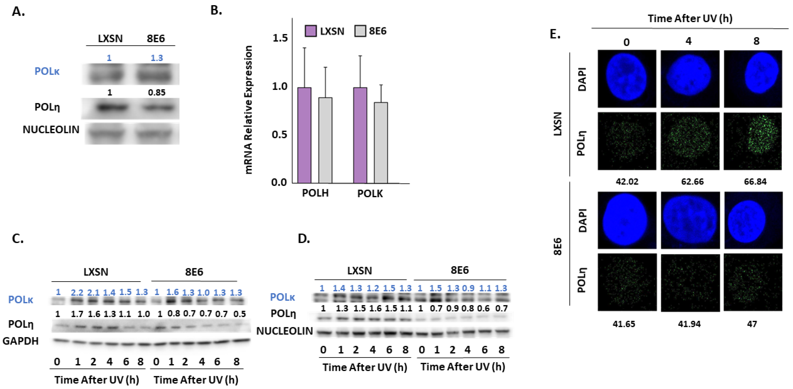 Pathogens 08 00267 g006