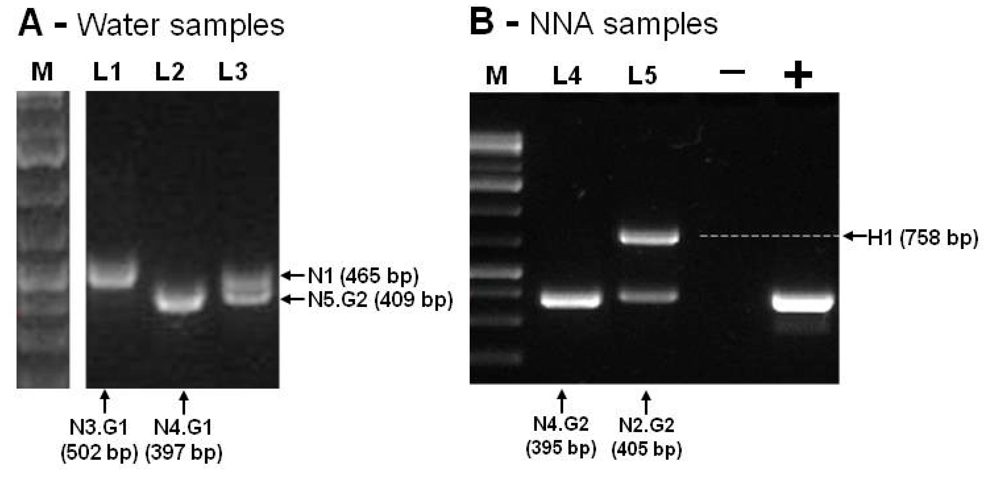 Pathogens 09 00090 g003