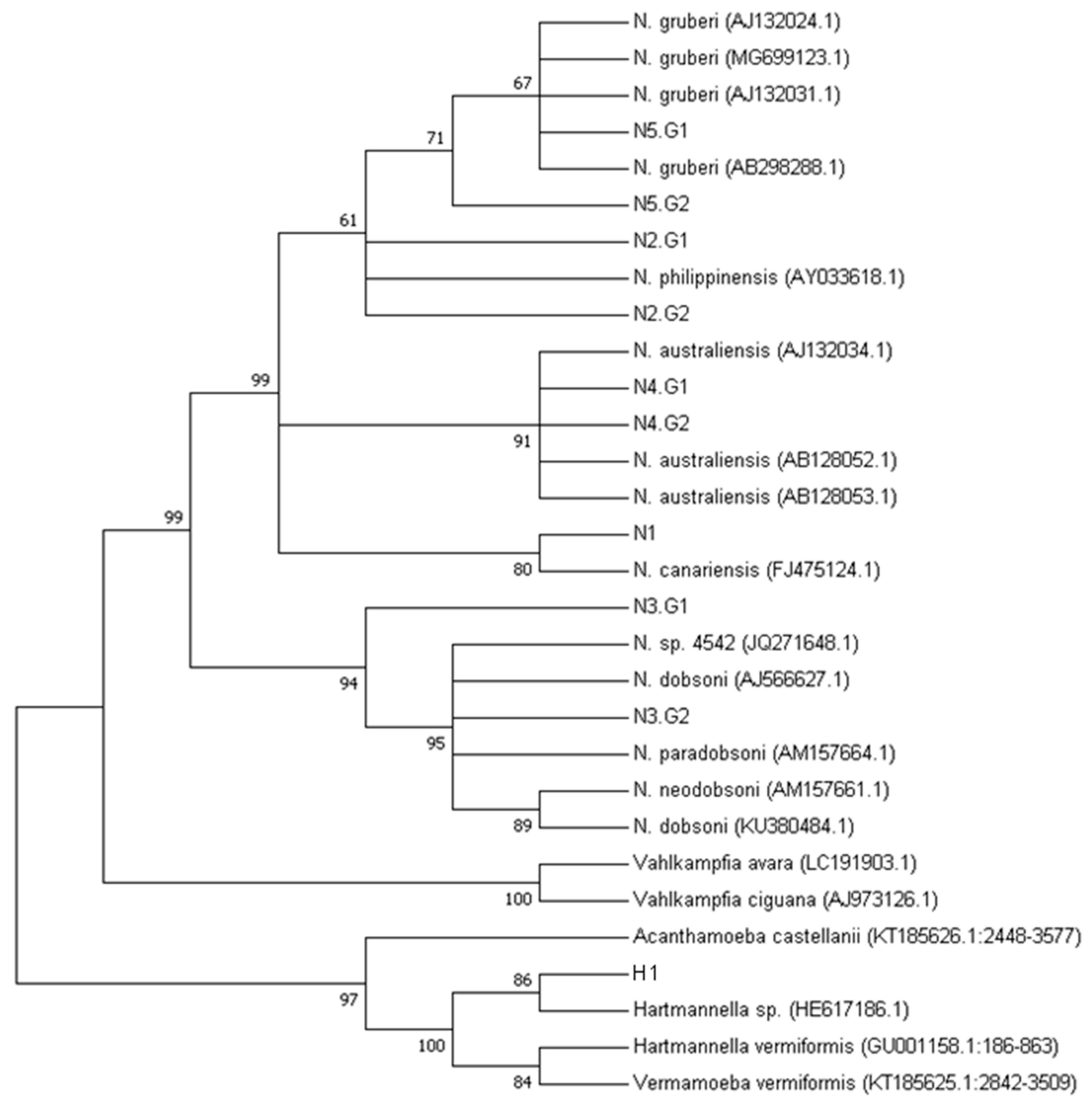 Pathogens 09 00090 g004