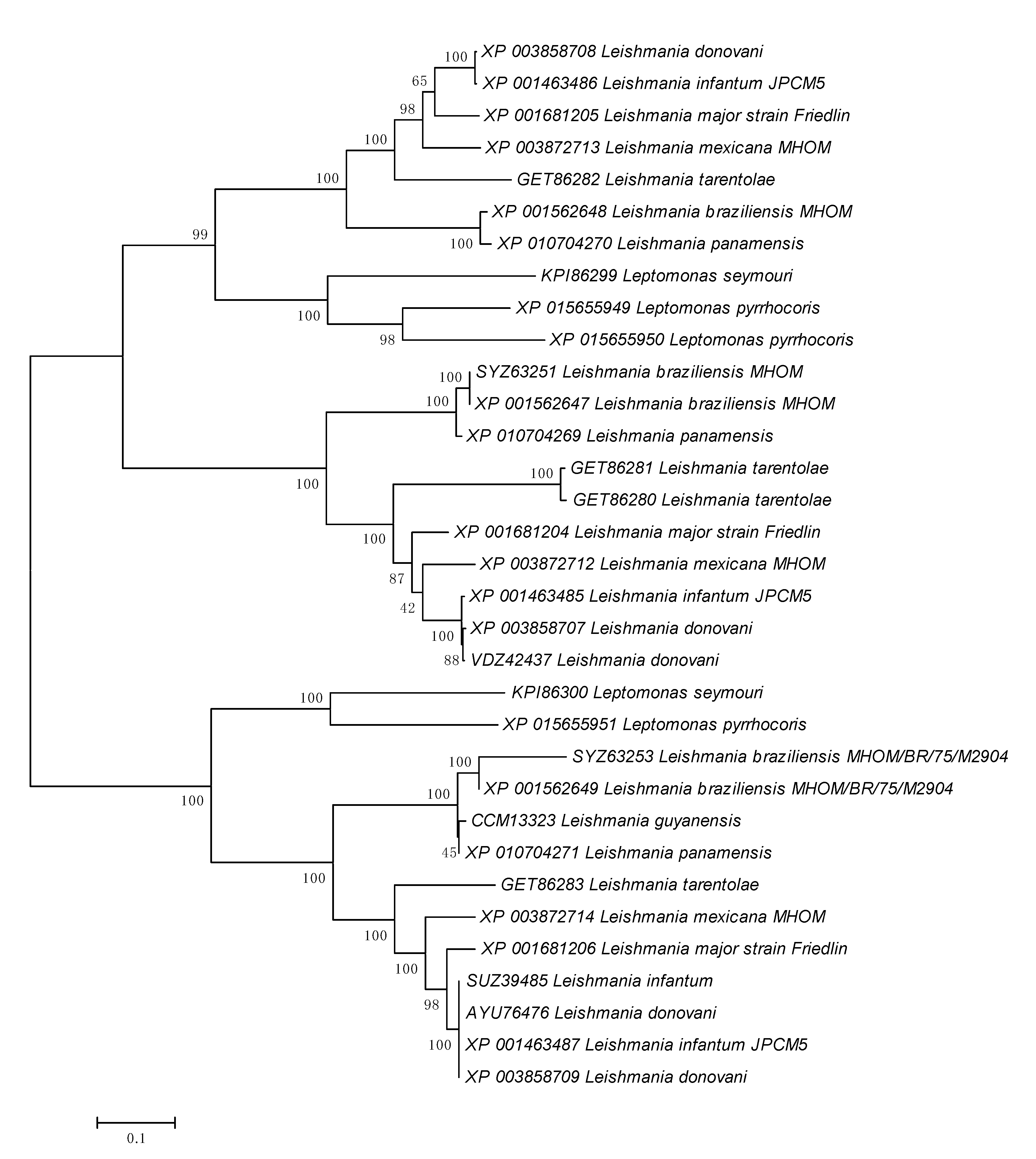 Pathogens 09 00572 g004 Pathogens 09 00572 g004