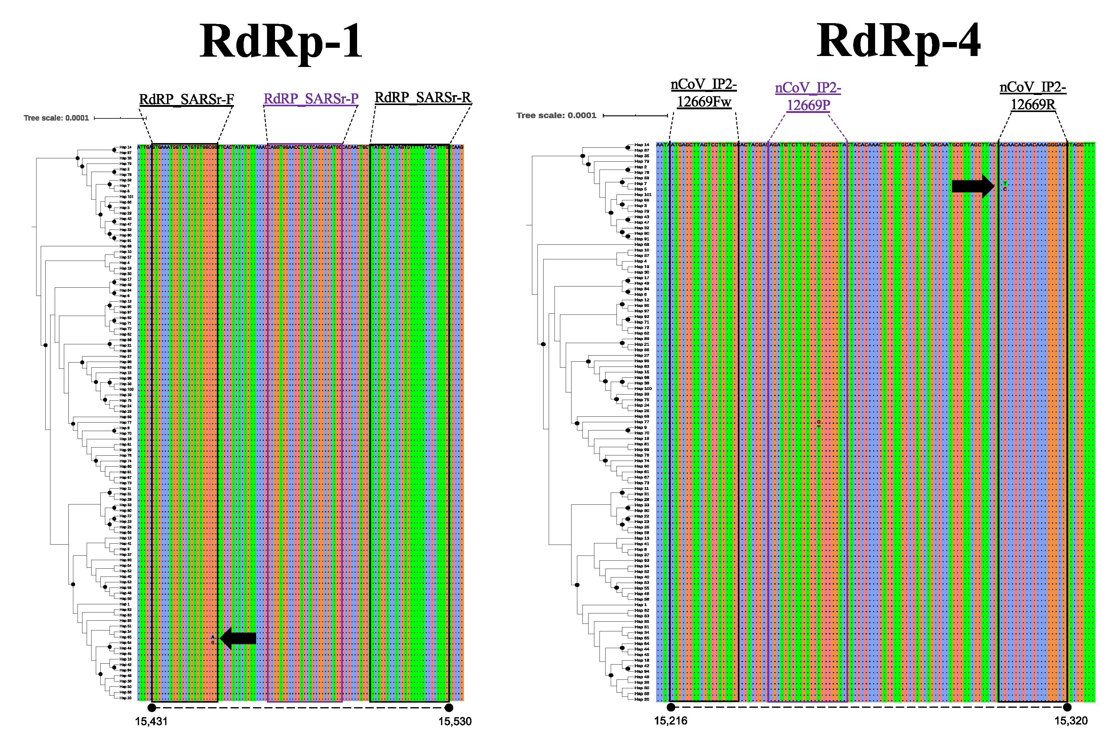 Pathogens 09 00580 g003 Pathogens 09 00580 g003