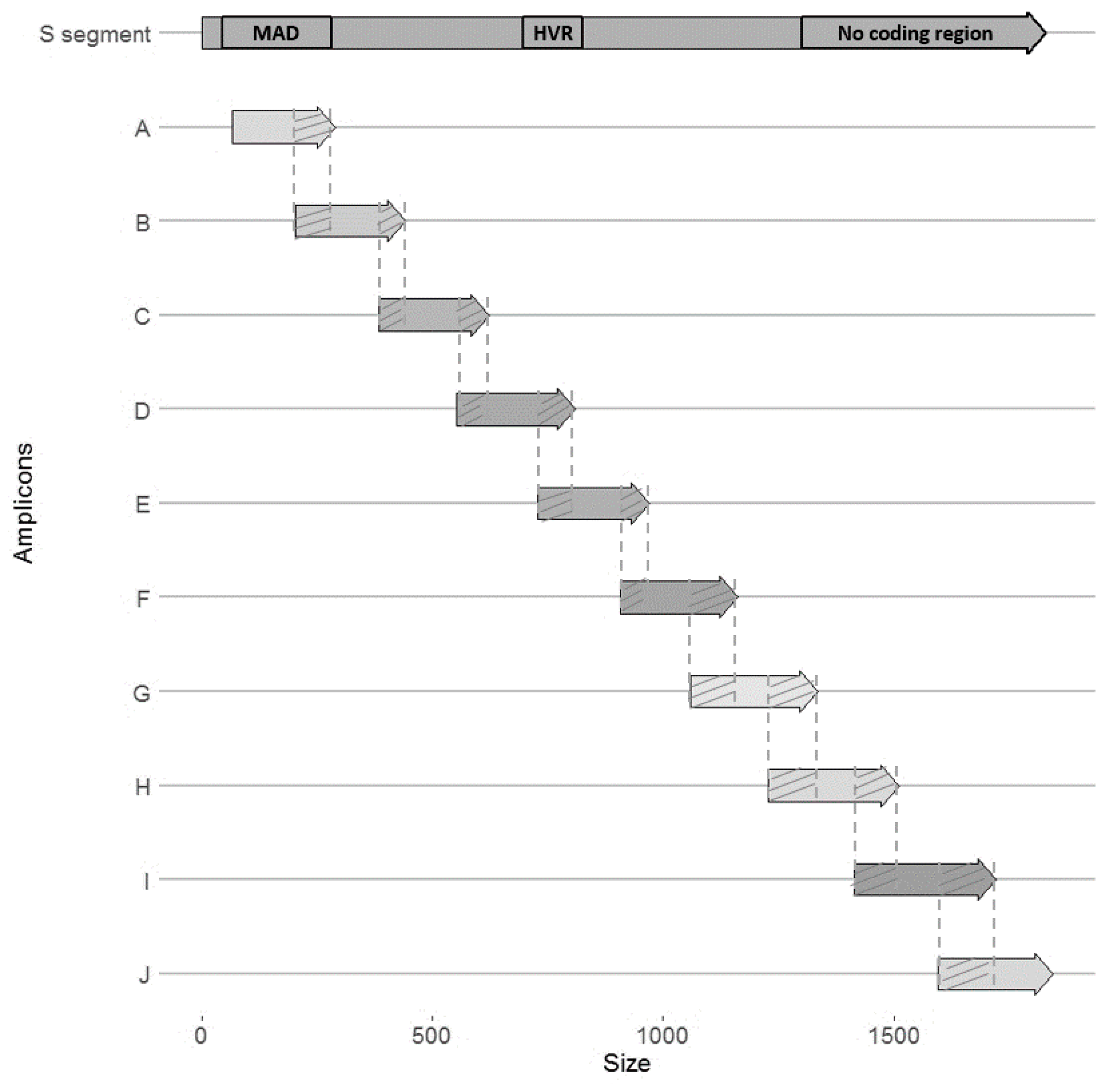Pathogens 09 00789 g004