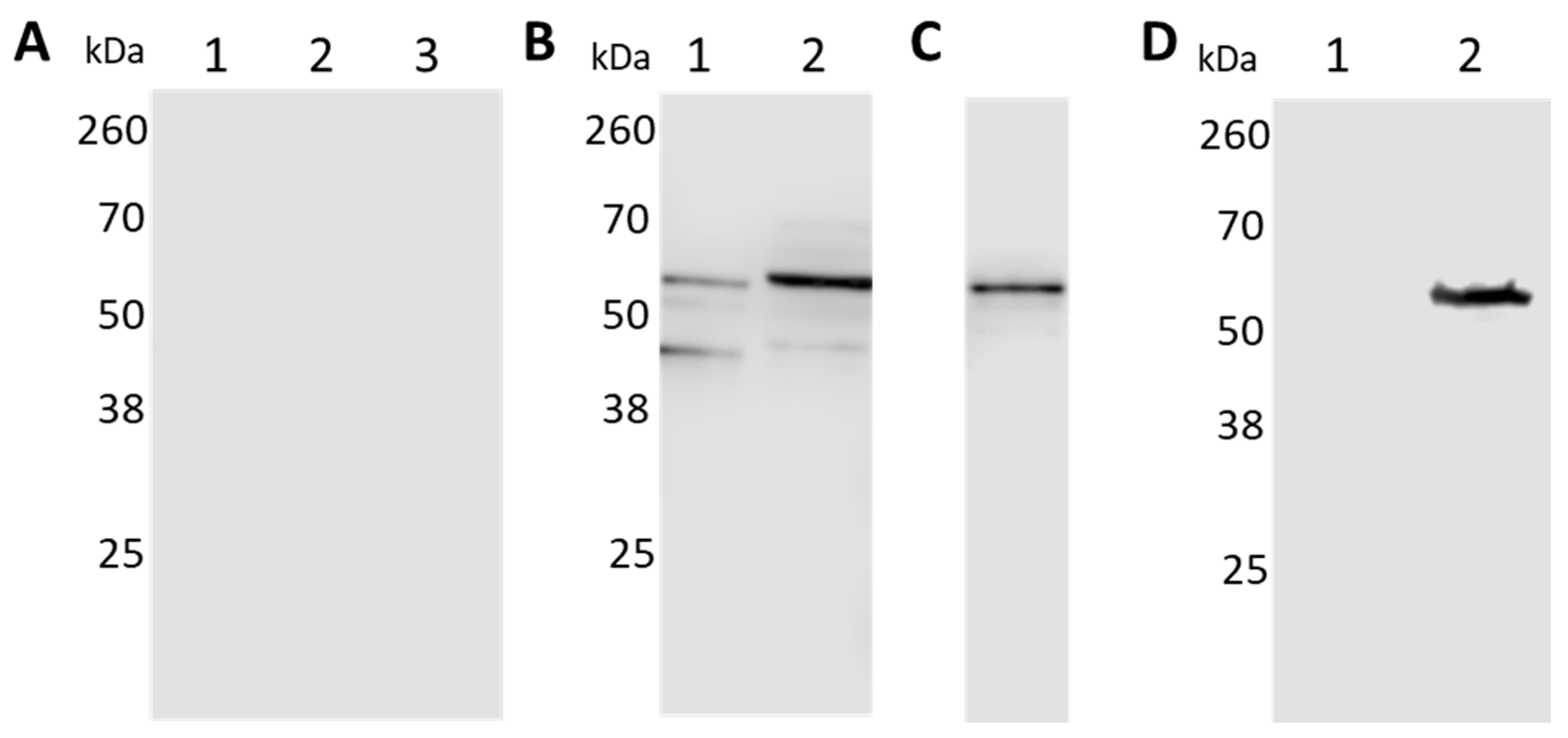 Pathogens 10 00226 g002